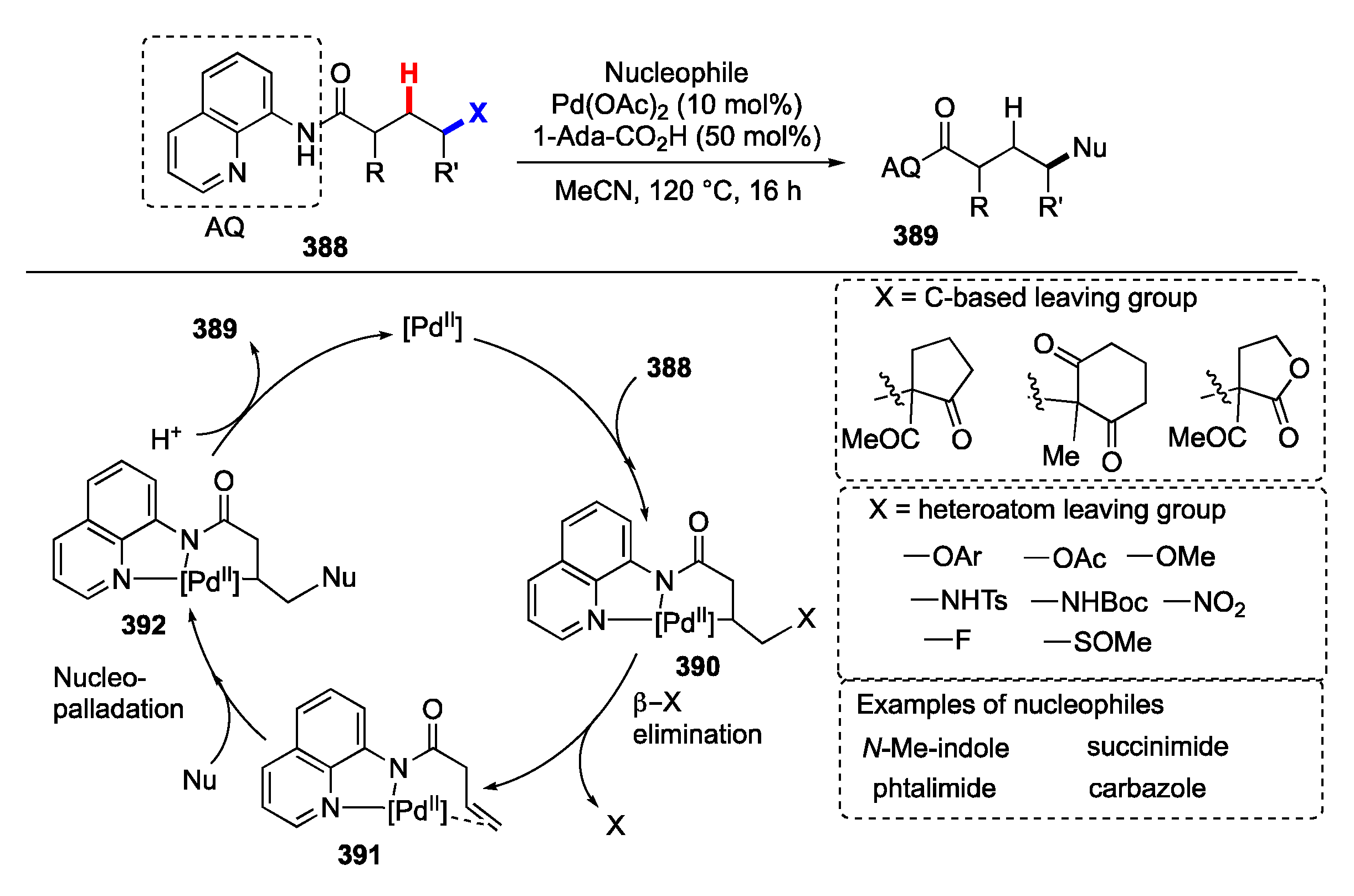 Molecules 25 05900 sch051