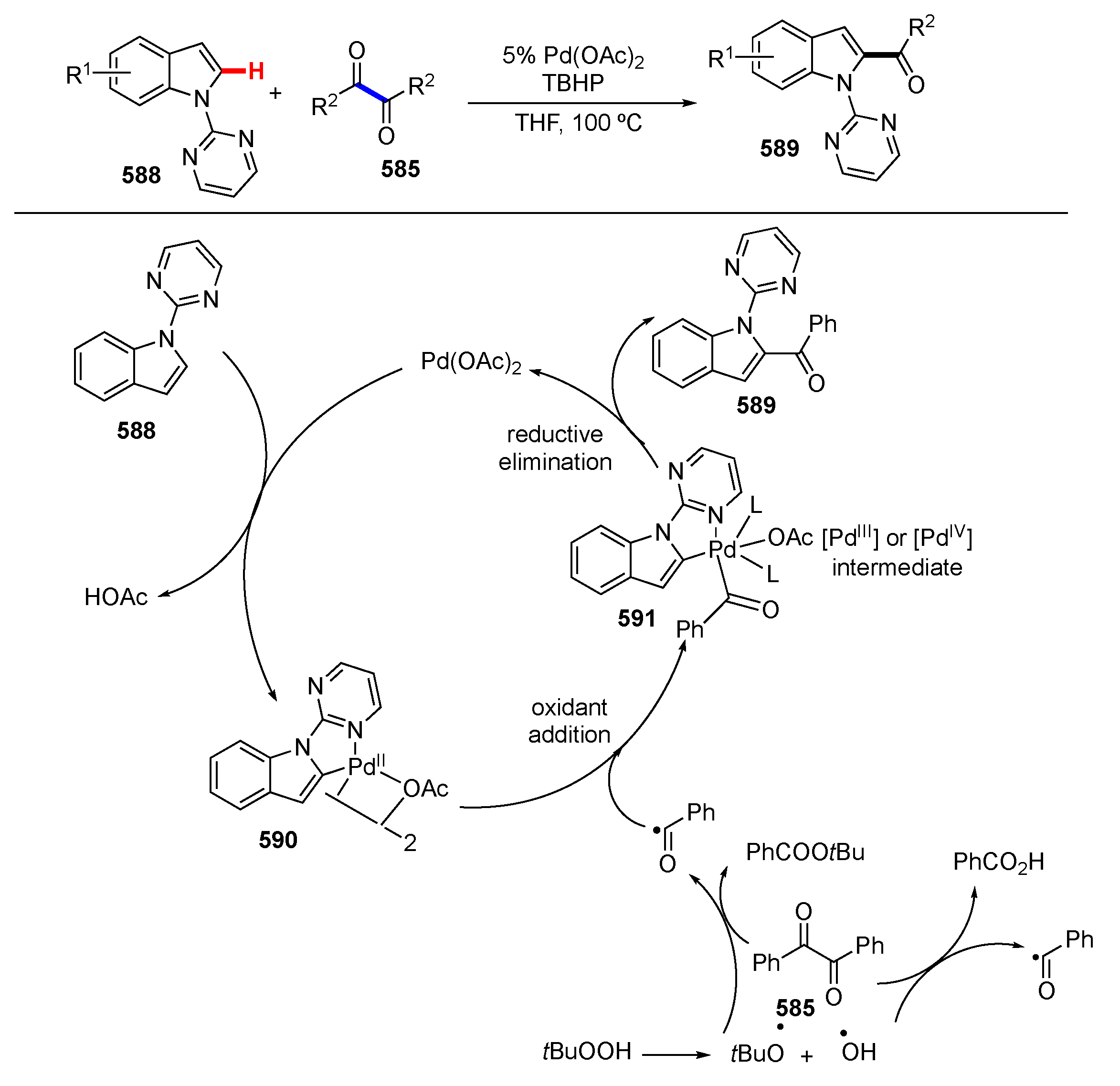 Molecules 25 05900 sch077
