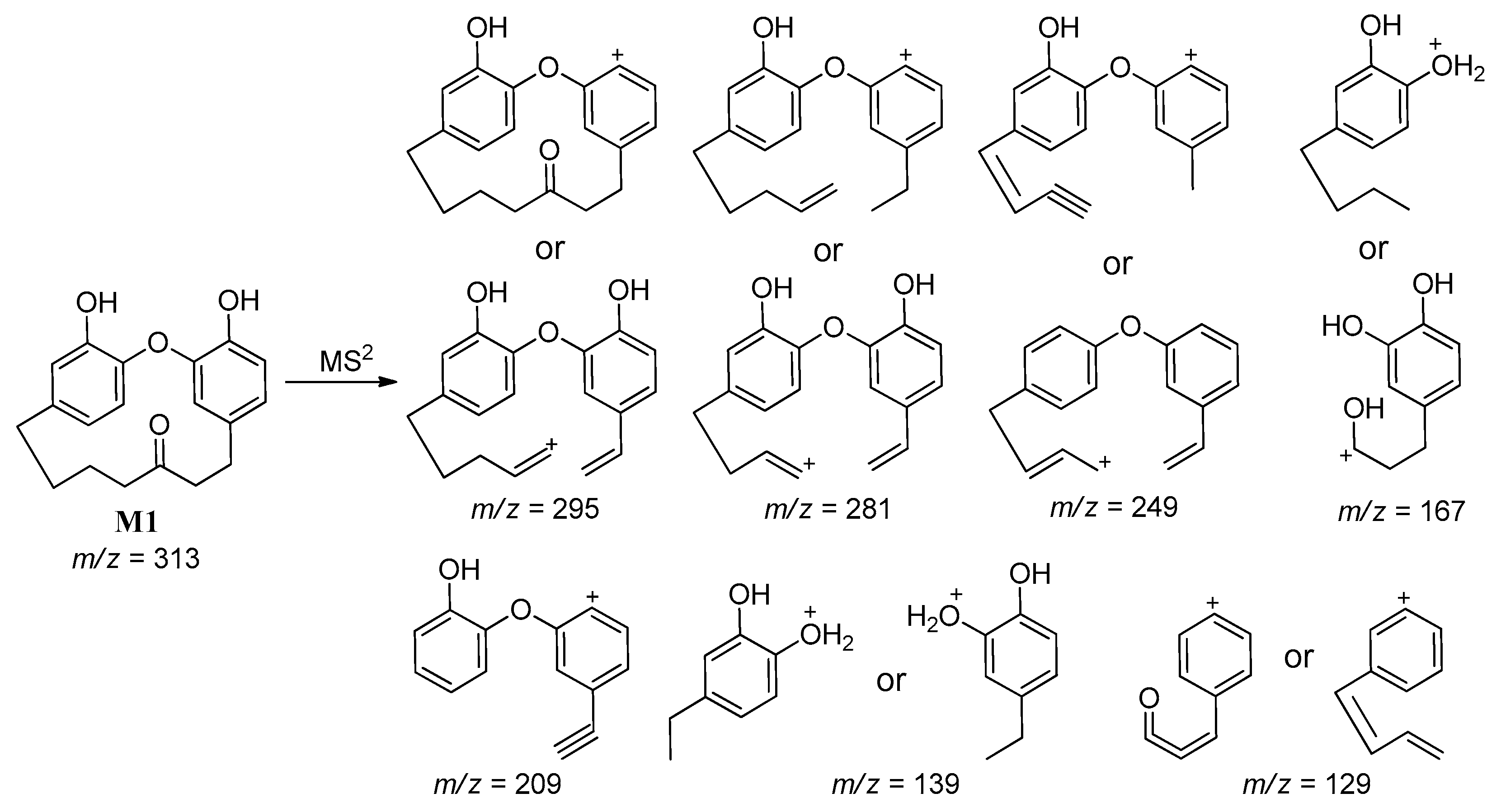 Molecules 25 05903 sch002 Molecules 25 05903 sch002