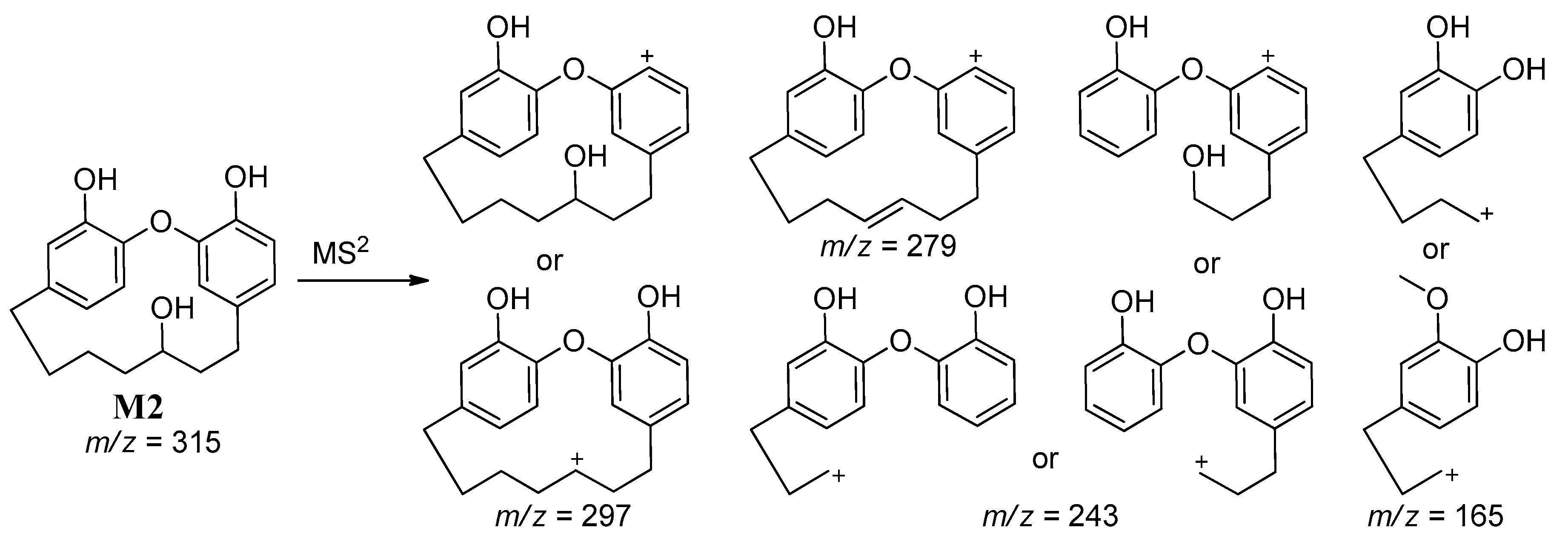 Molecules 25 05903 sch003 Molecules 25 05903 sch003