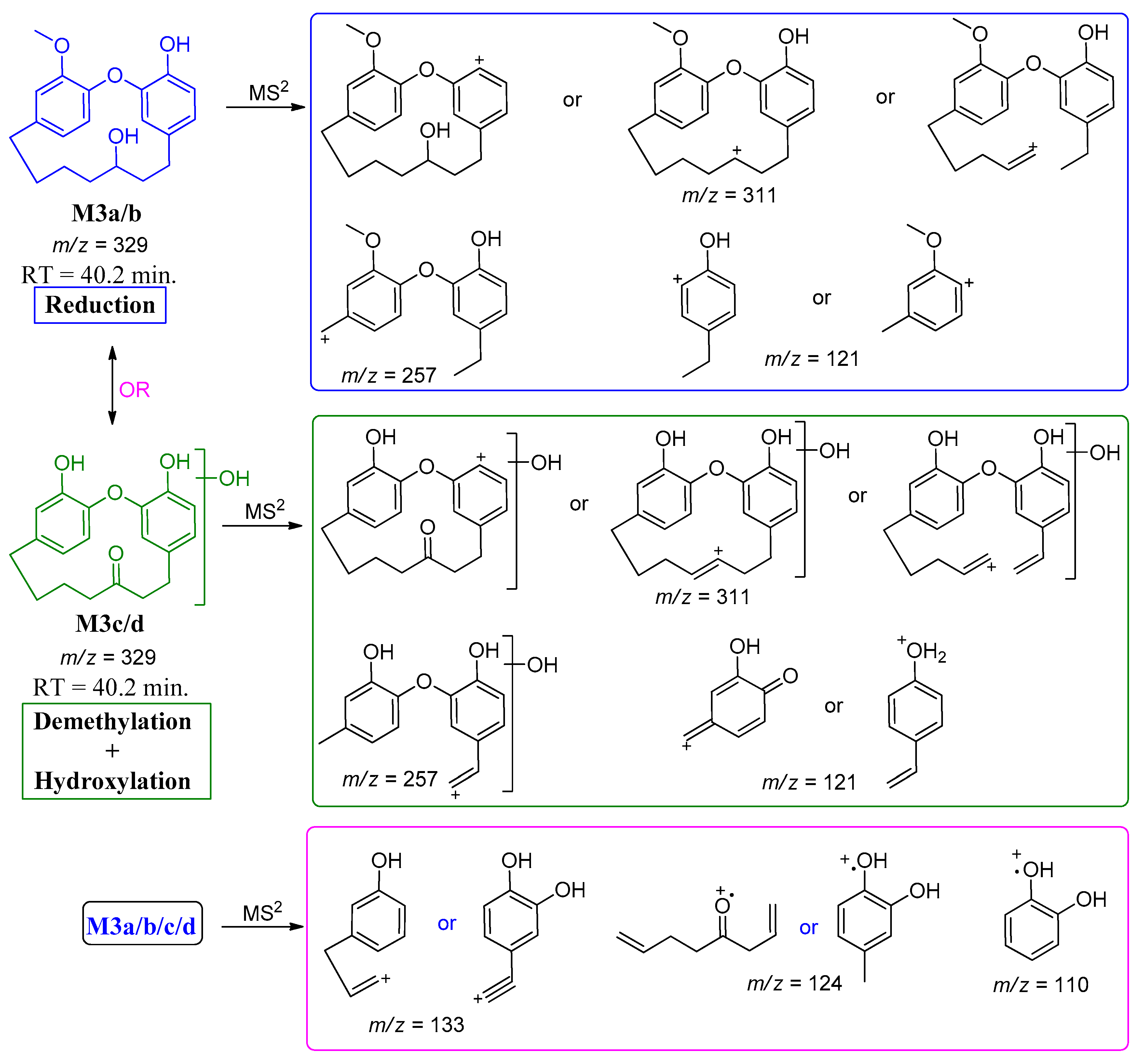 Molecules 25 05903 sch004 Molecules 25 05903 sch004
