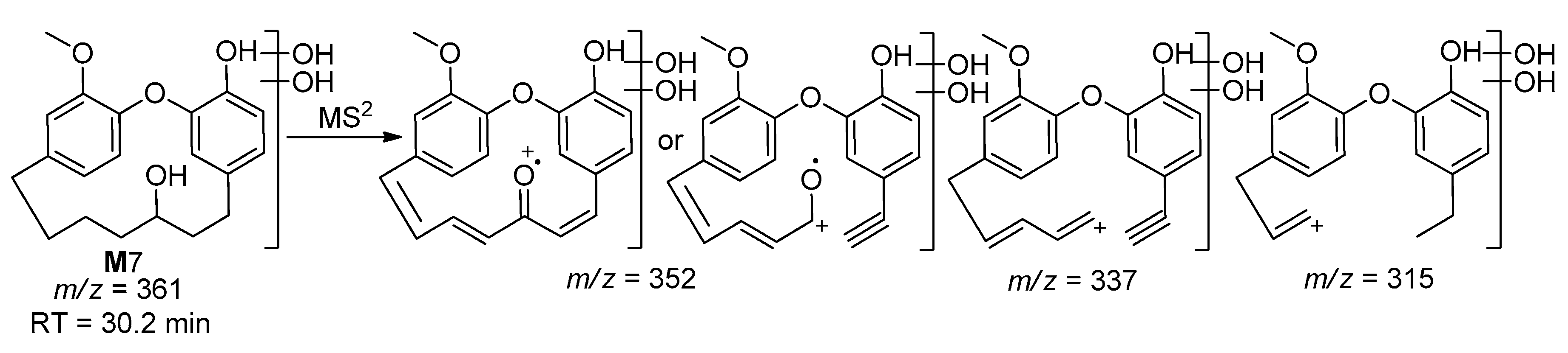Molecules 25 05903 sch008 Molecules 25 05903 sch008