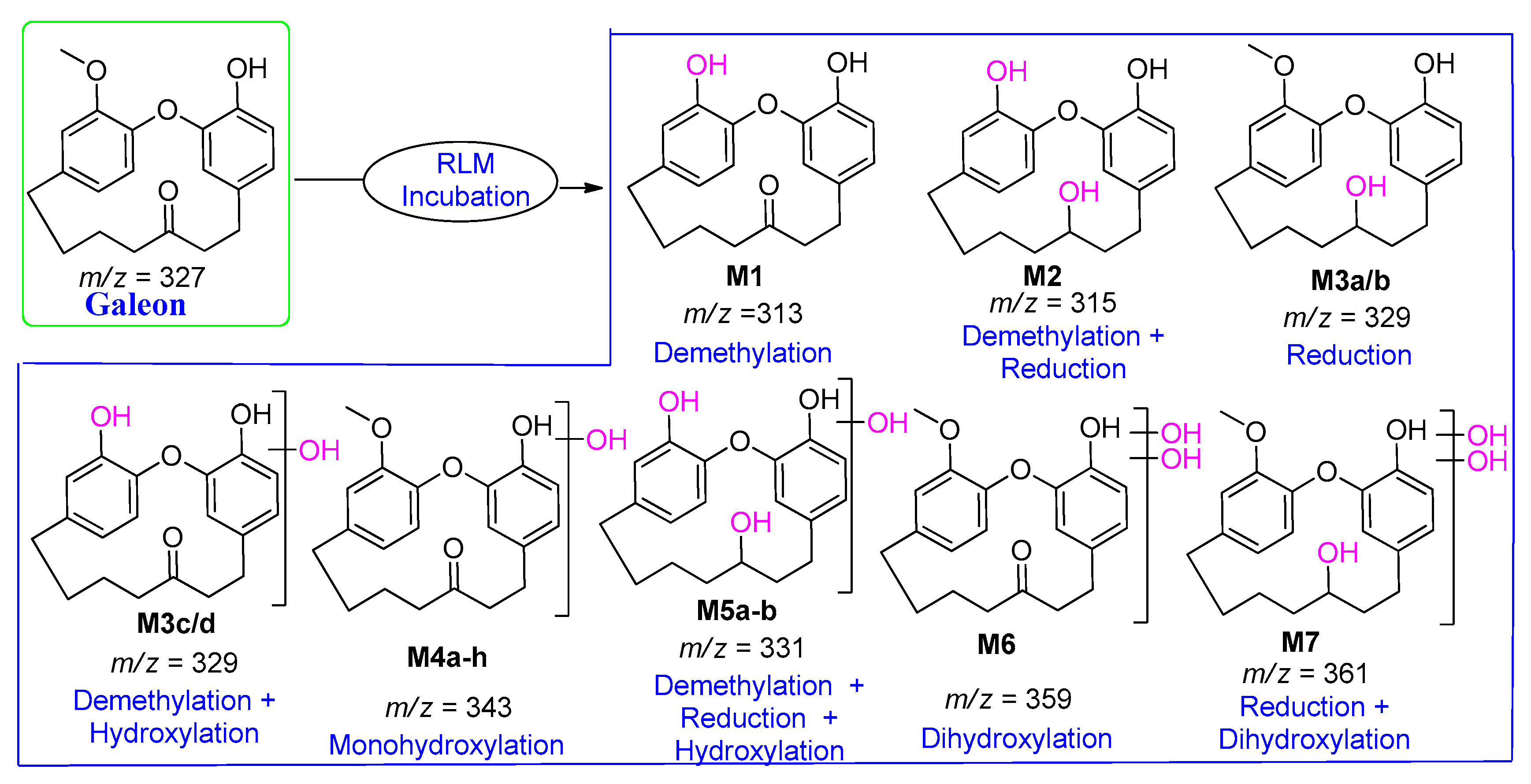 Molecules 25 05903 sch009 Molecules 25 05903 sch009