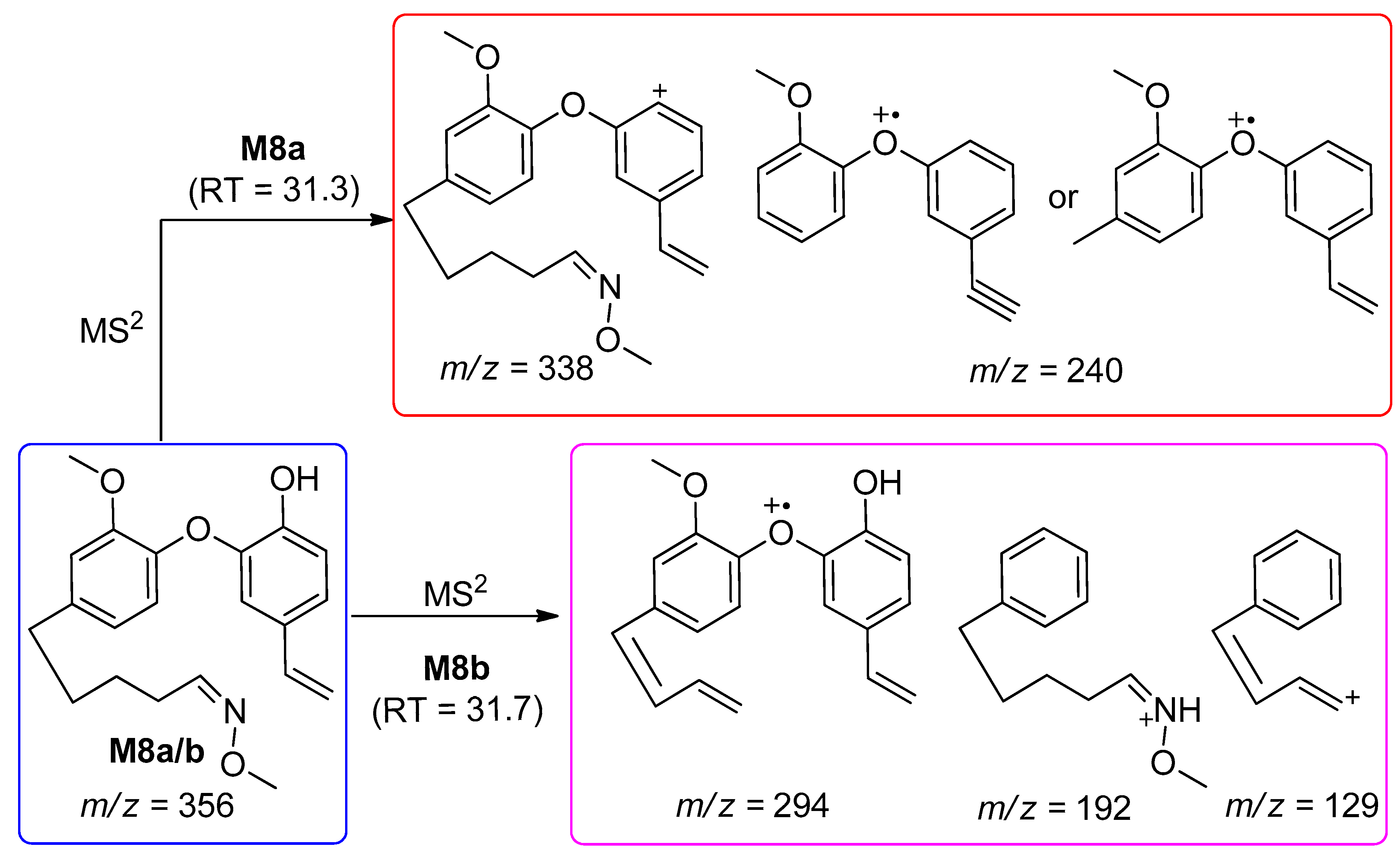 Molecules 25 05903 sch010 Molecules 25 05903 sch010