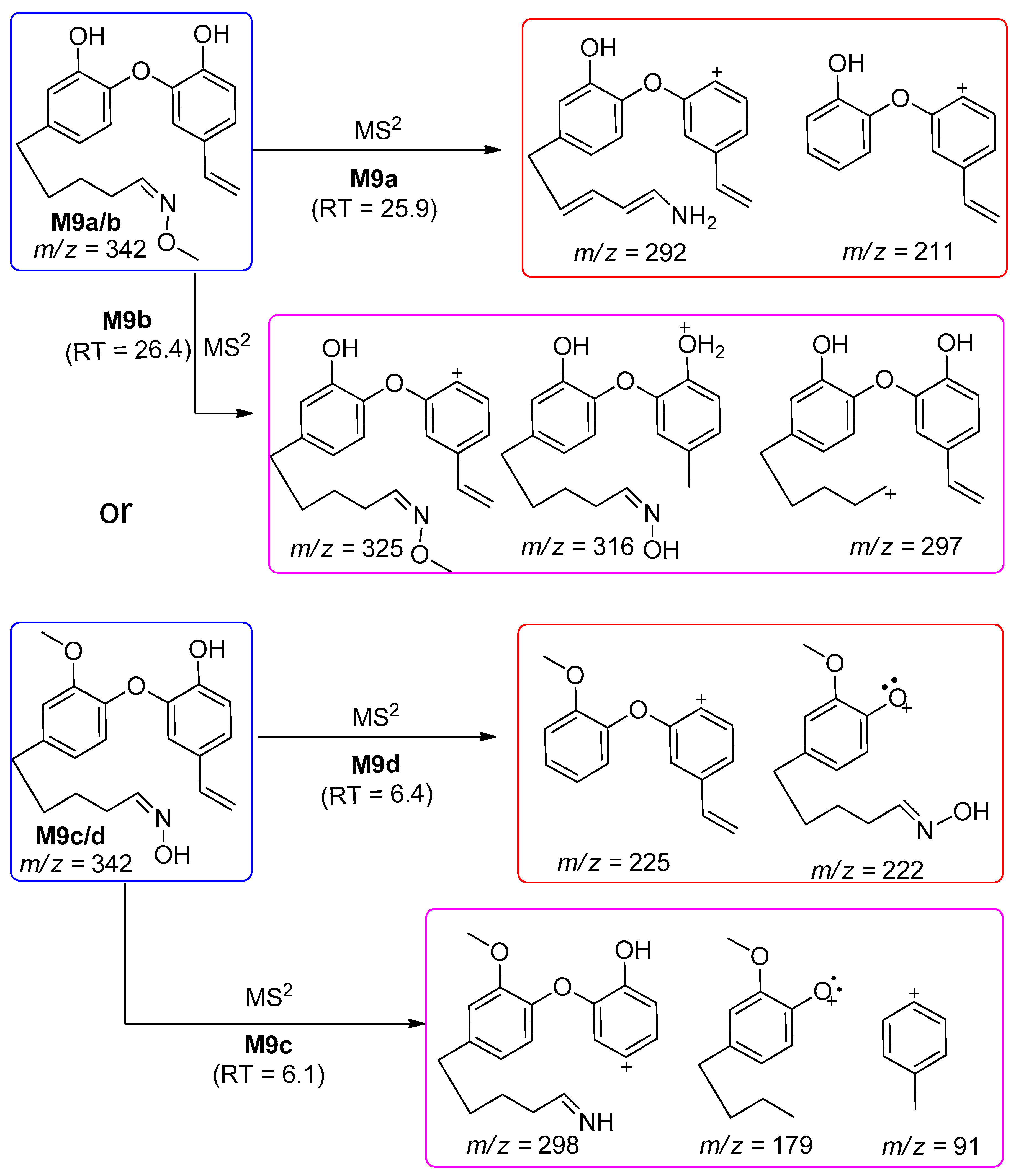 Molecules 25 05903 sch011 Molecules 25 05903 sch011