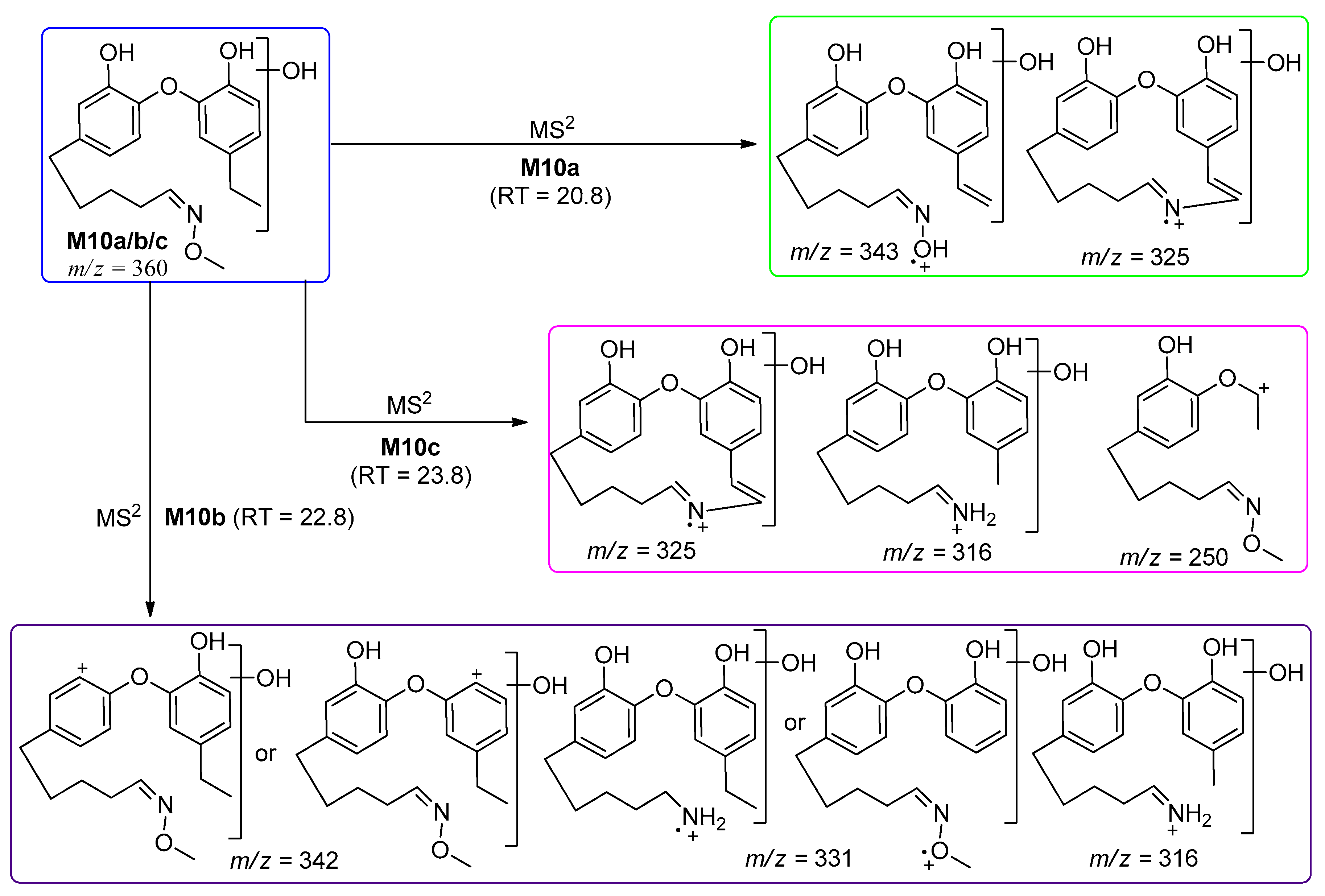 Molecules 25 05903 sch012 Molecules 25 05903 sch012