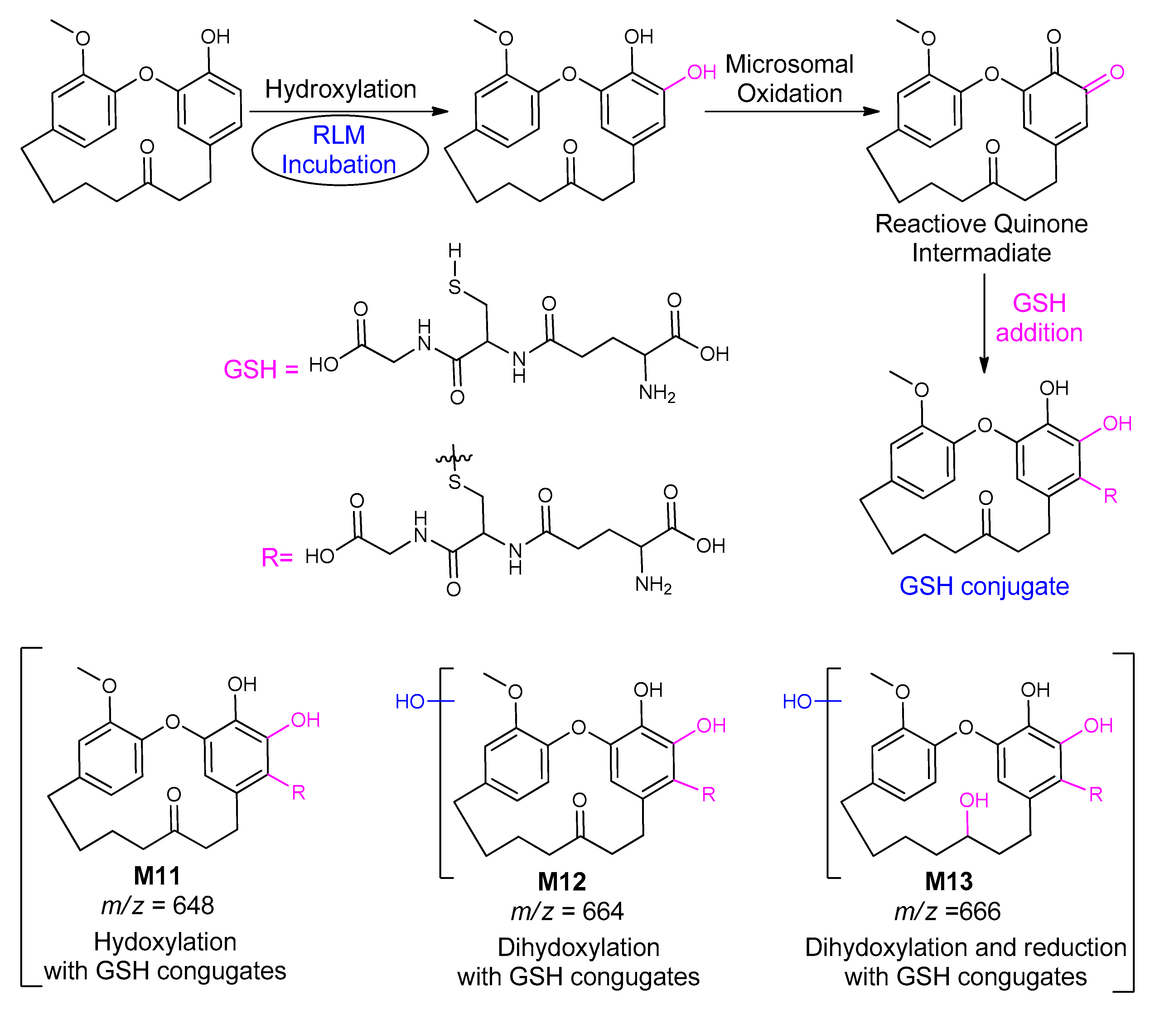 Molecules 25 05903 sch014 Molecules 25 05903 sch014