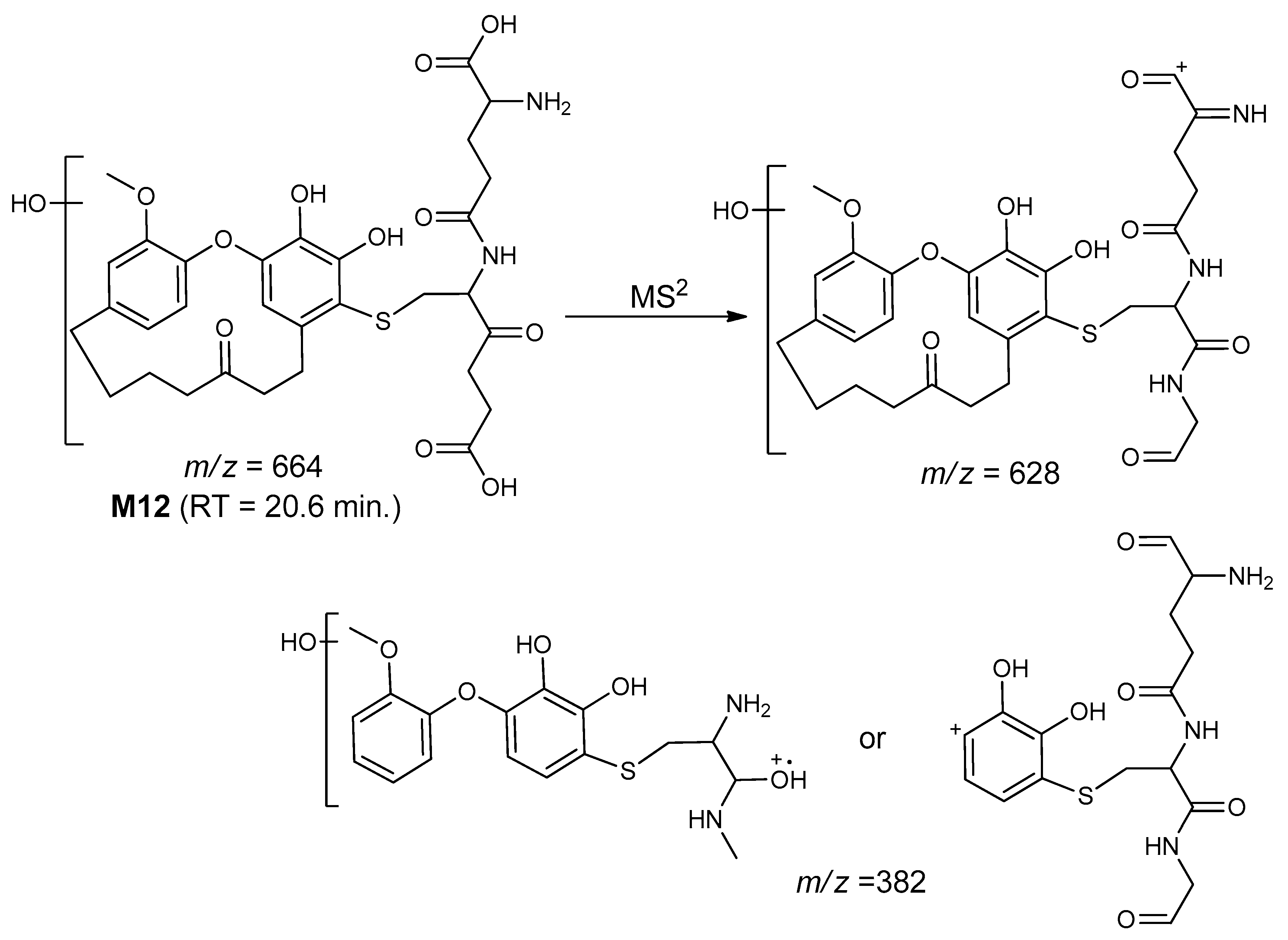 Molecules 25 05903 sch016 Molecules 25 05903 sch016