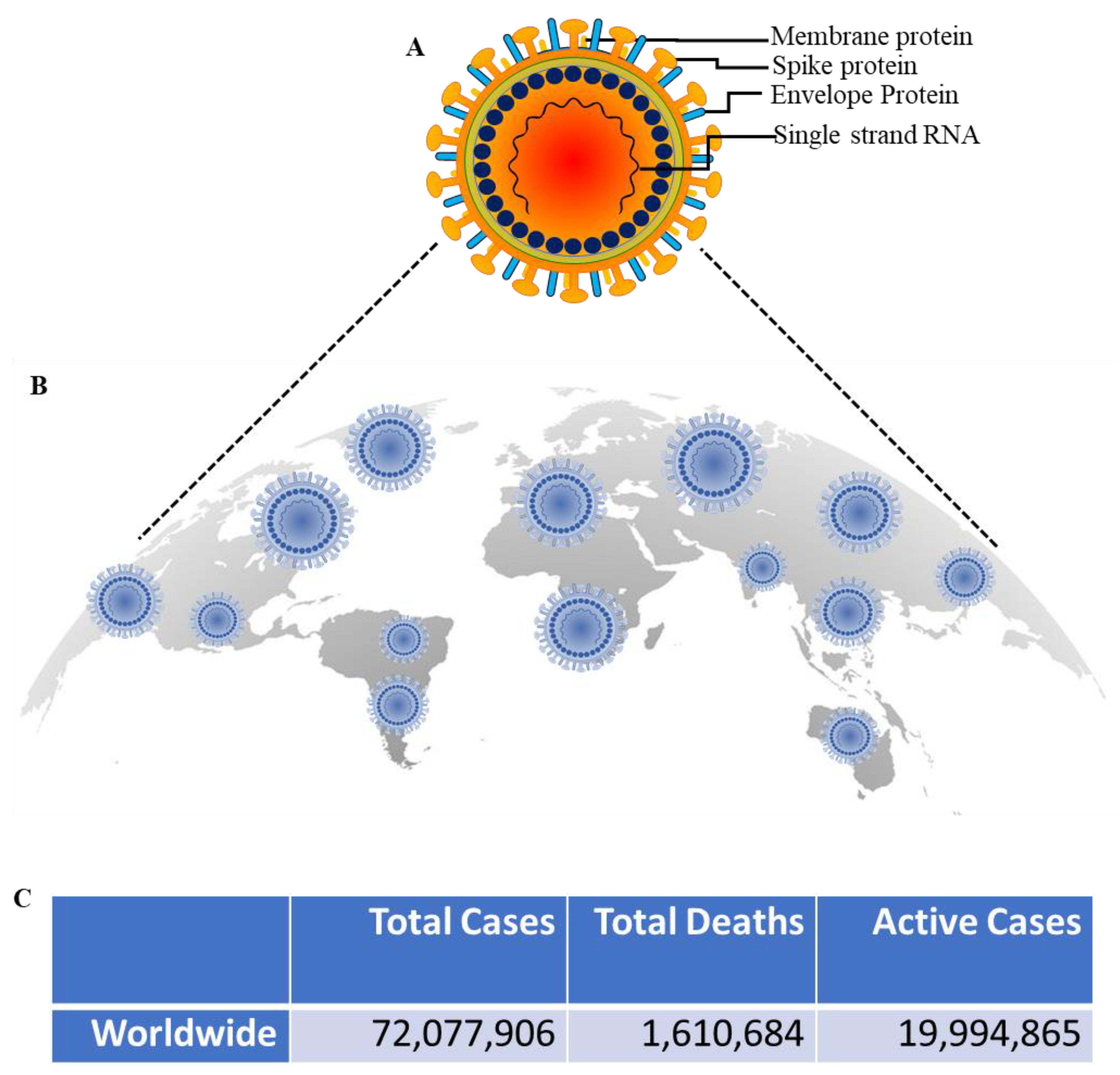 Molecules 25 05905 g001