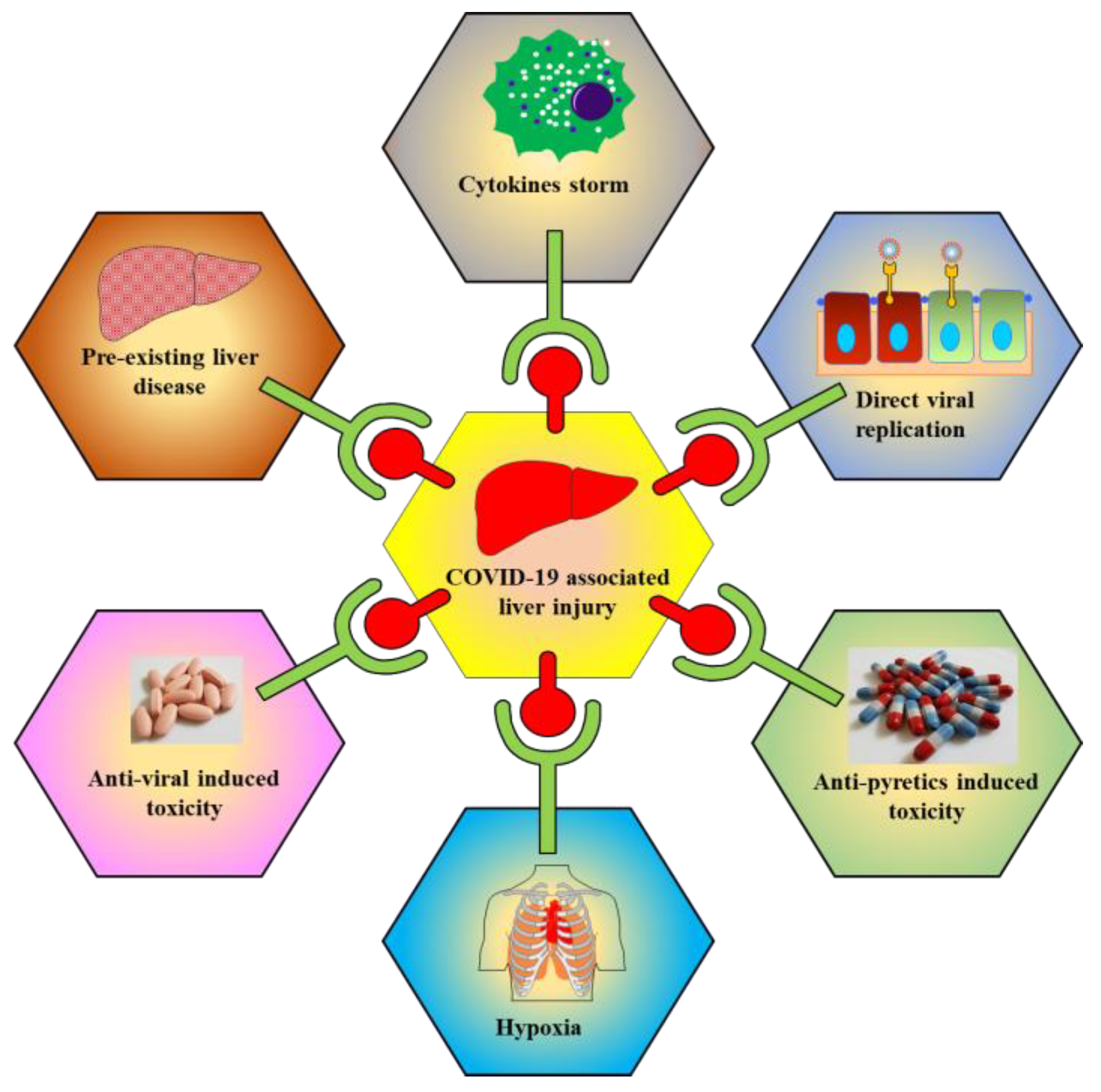 Molecules 25 05905 g003