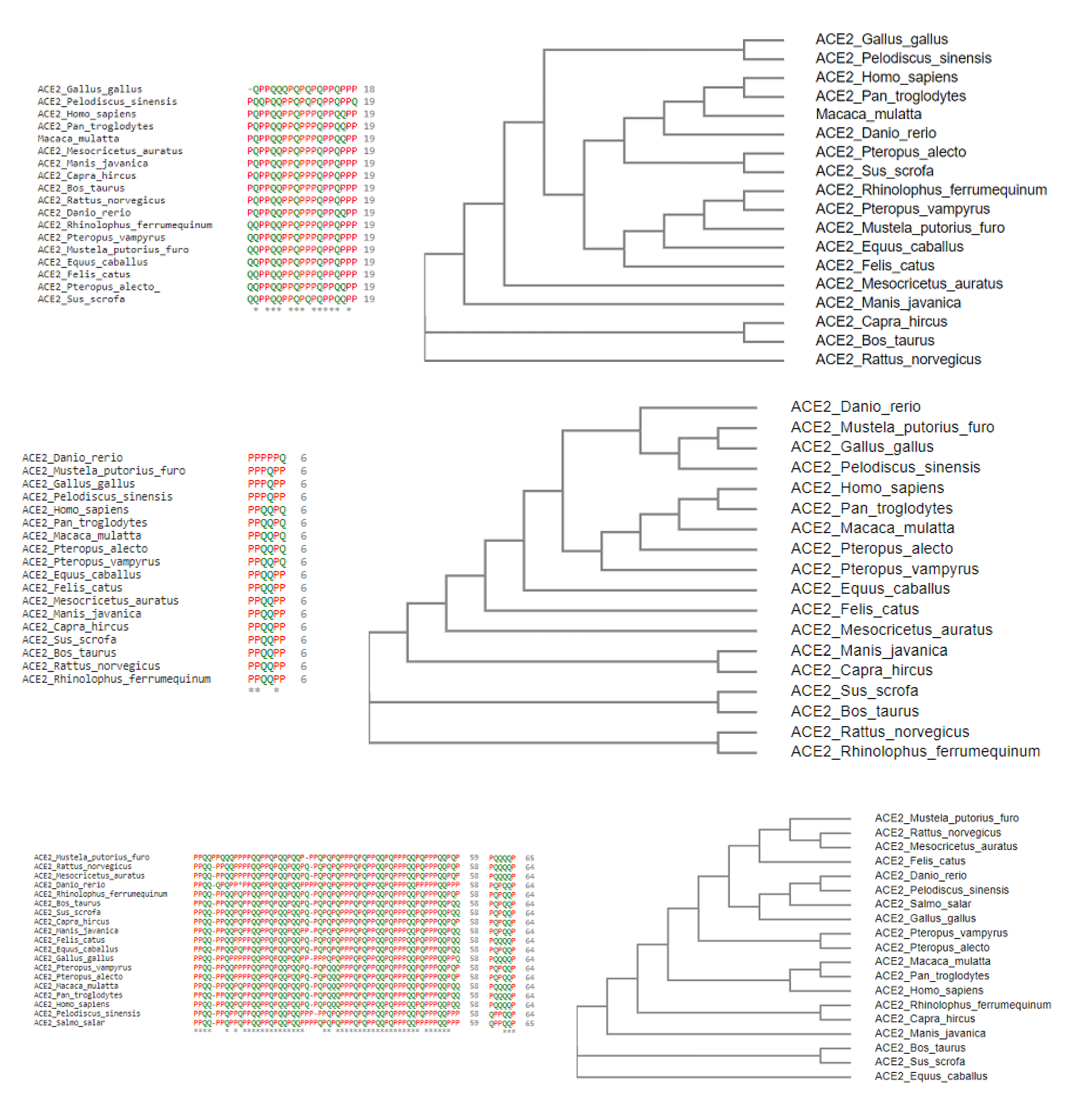 Molecules 25 05906 g011