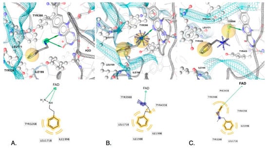 Molecules 25 05908 g004