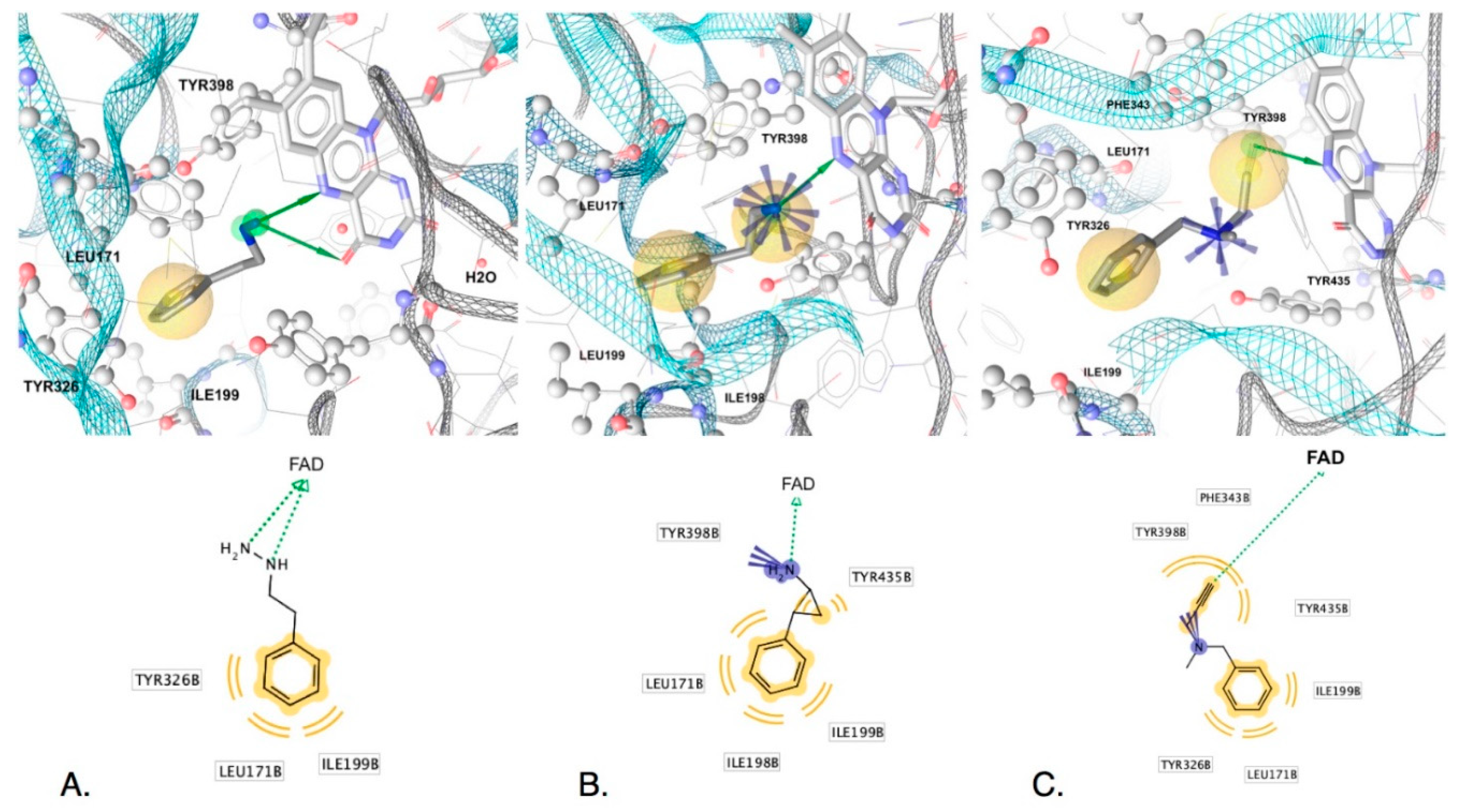 Molecules 25 05908 g004