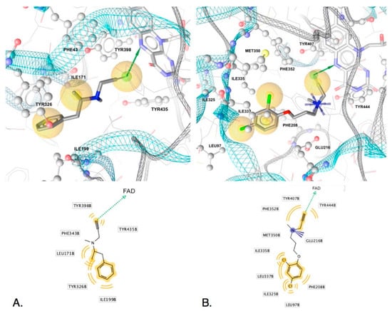 Molecules 25 05908 g005