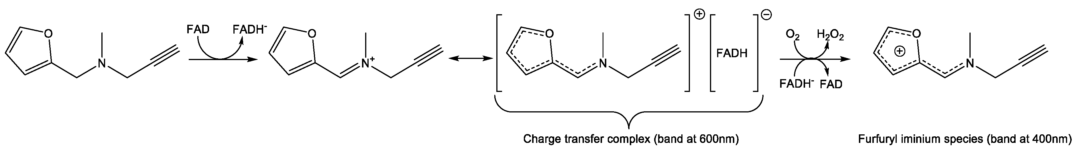 Molecules 25 05908 sch002