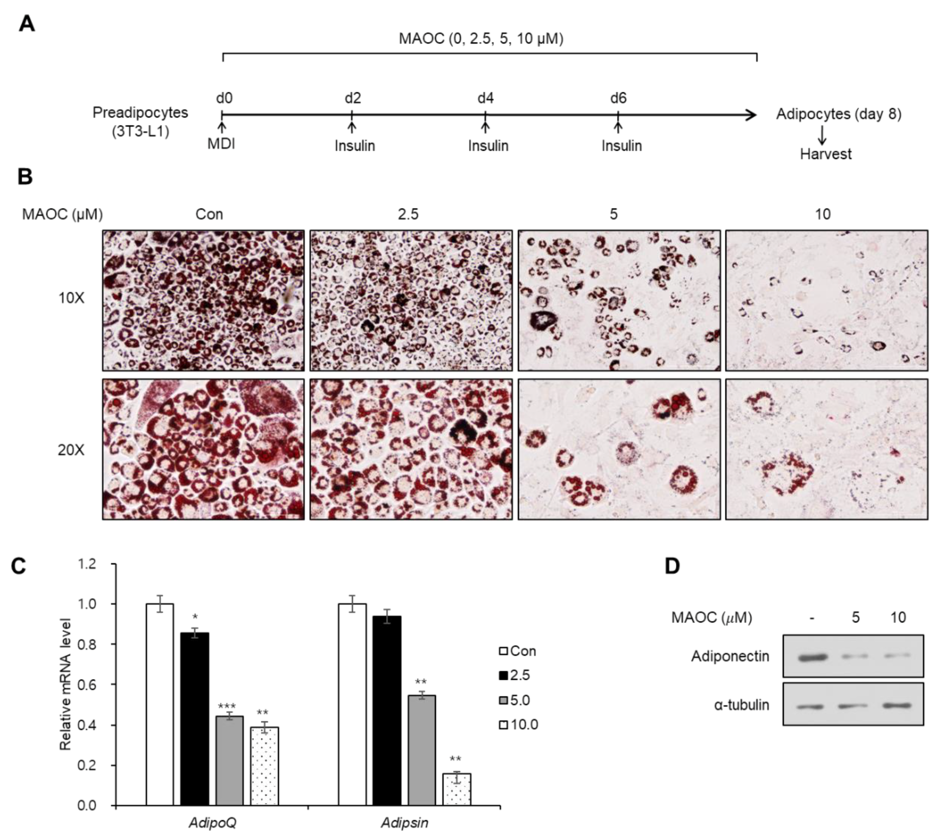 Molecules 25 05910 g002