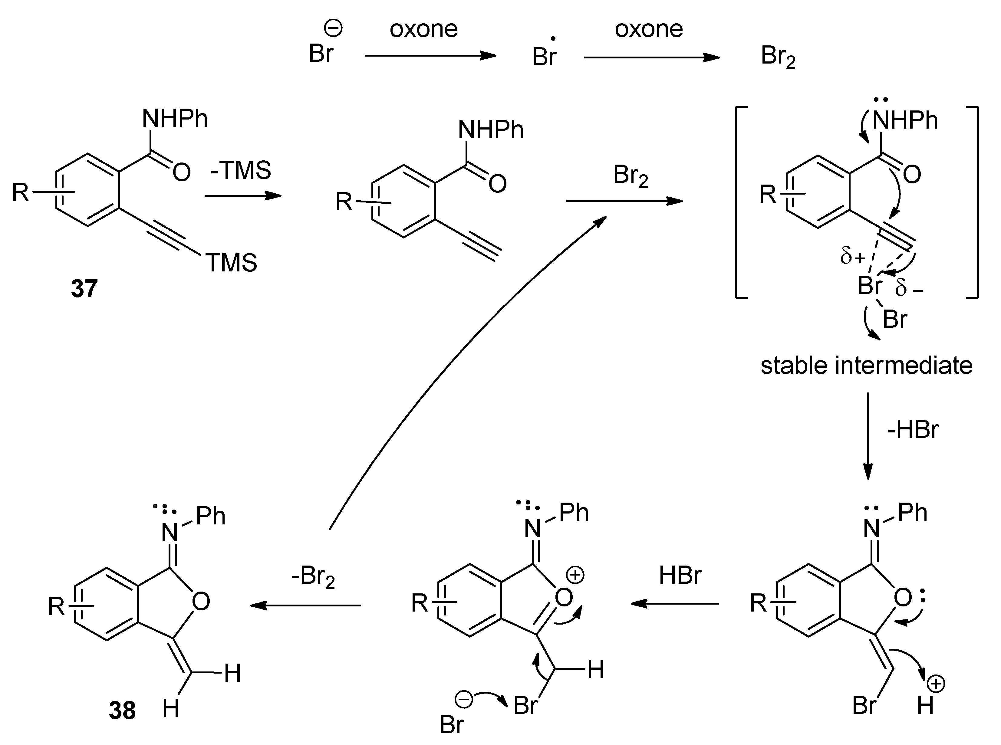 Molecules 25 05918 sch020