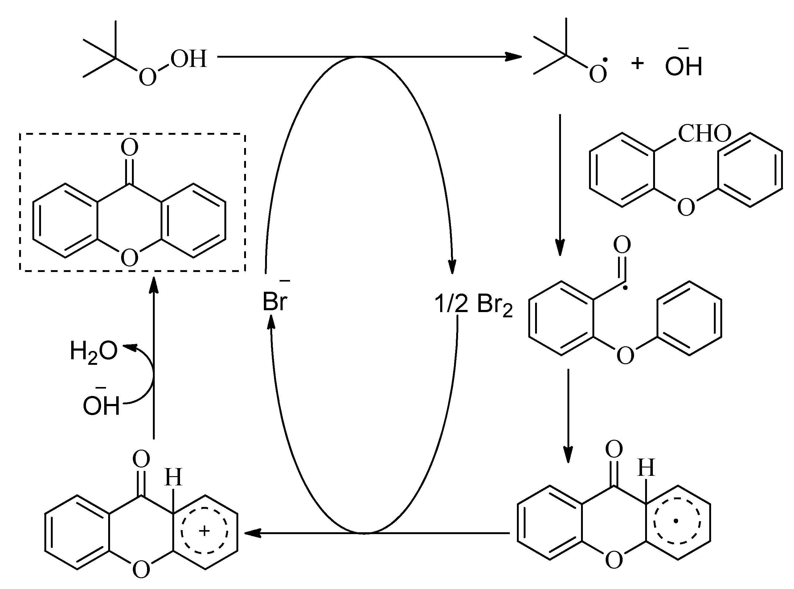 Molecules 25 05918 sch023