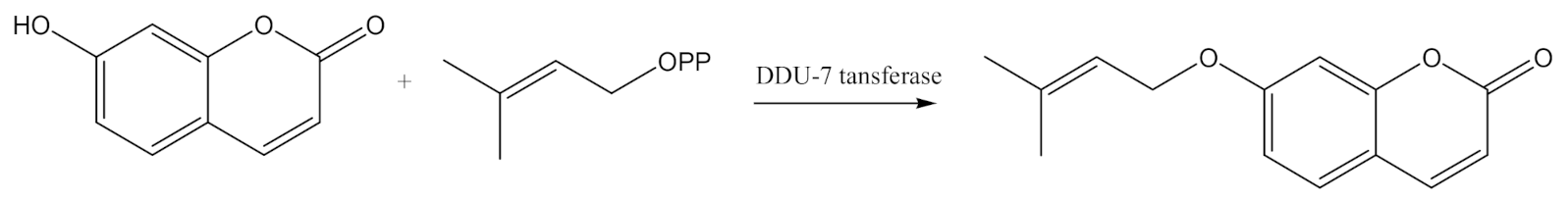Molecules 25 05923 g002