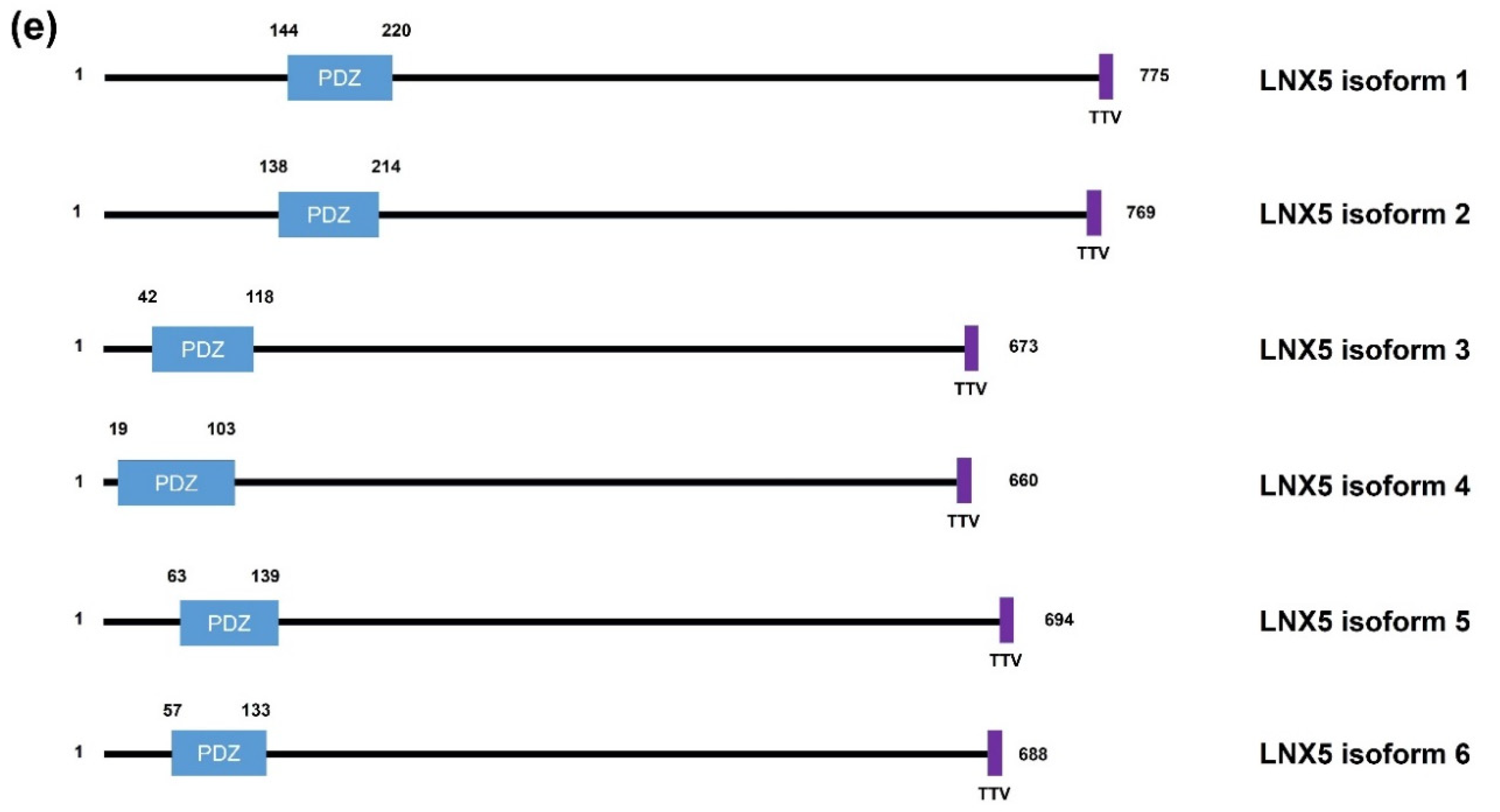 Molecules 25 05938 g001b