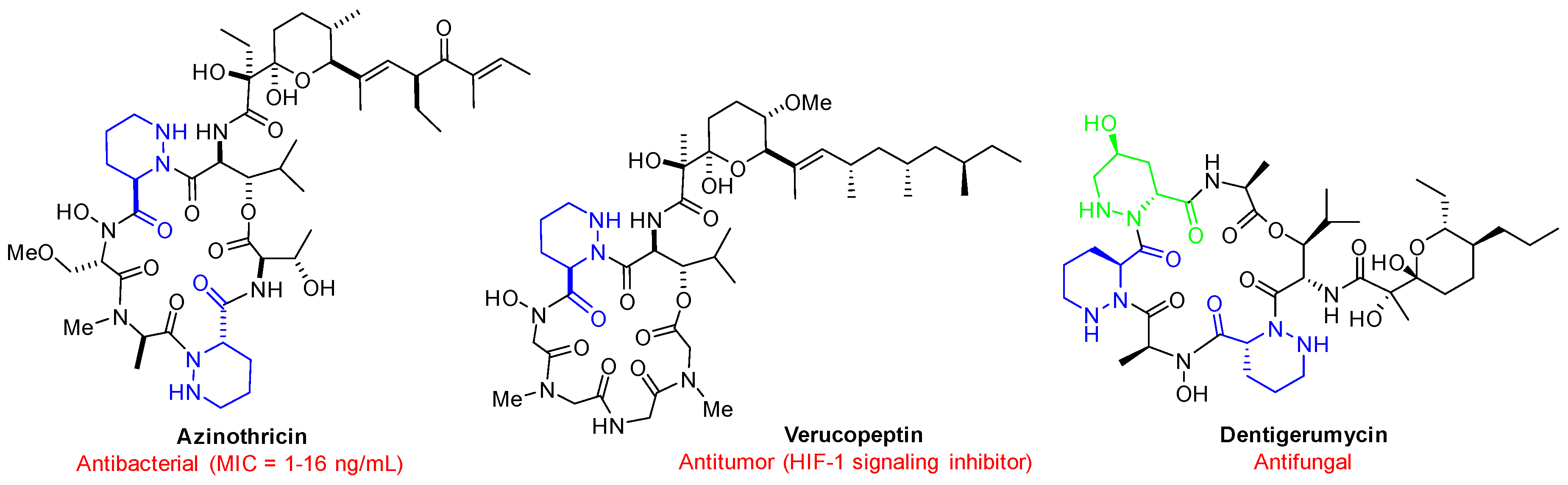 Molecules 25 05939 g001