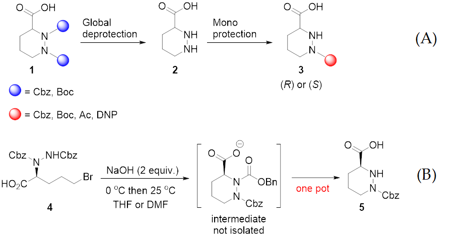 Molecules 25 05939 sch001