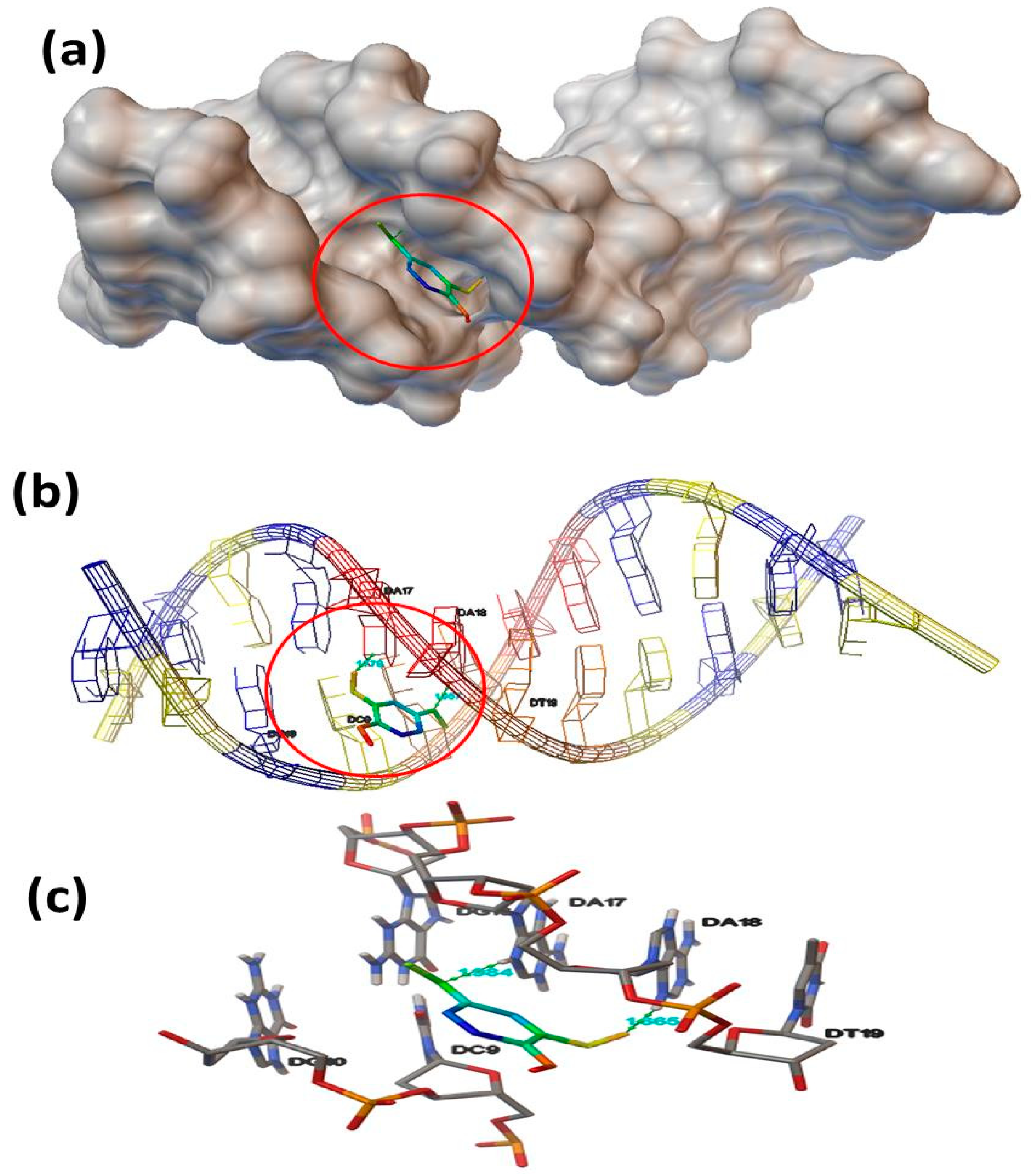 Molecules 25 05970 g011
