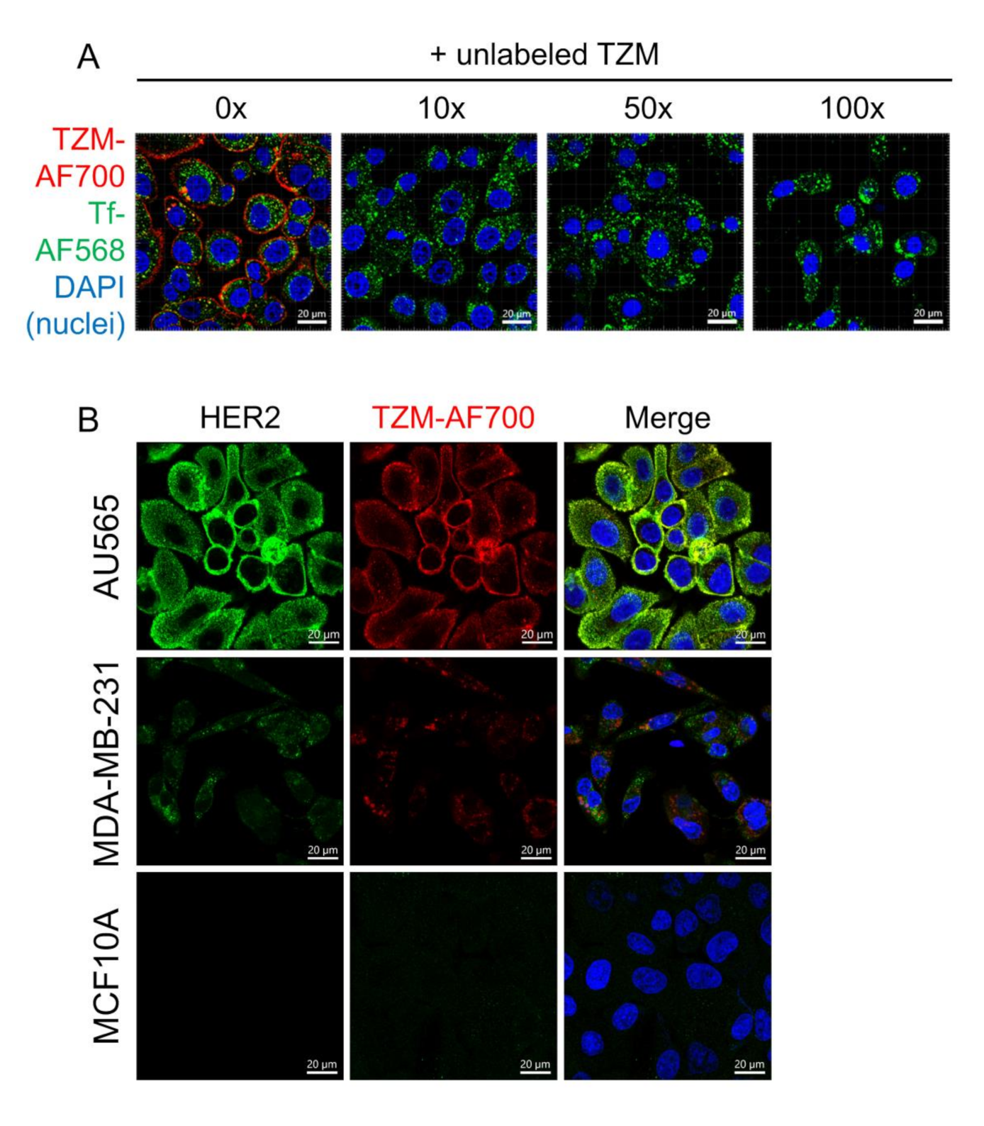 Molecules 25 05976 g002