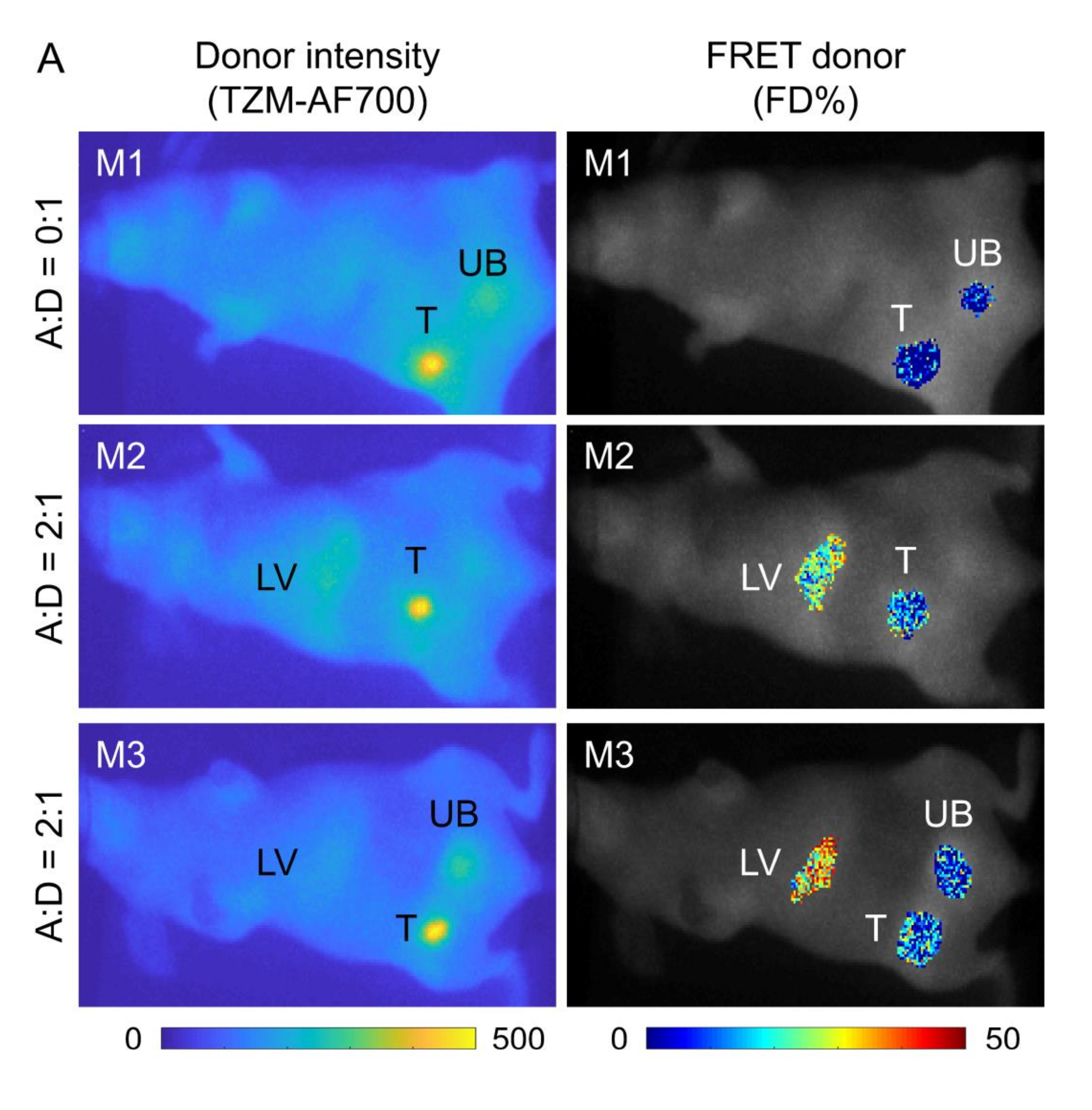 Molecules 25 05976 g006a
