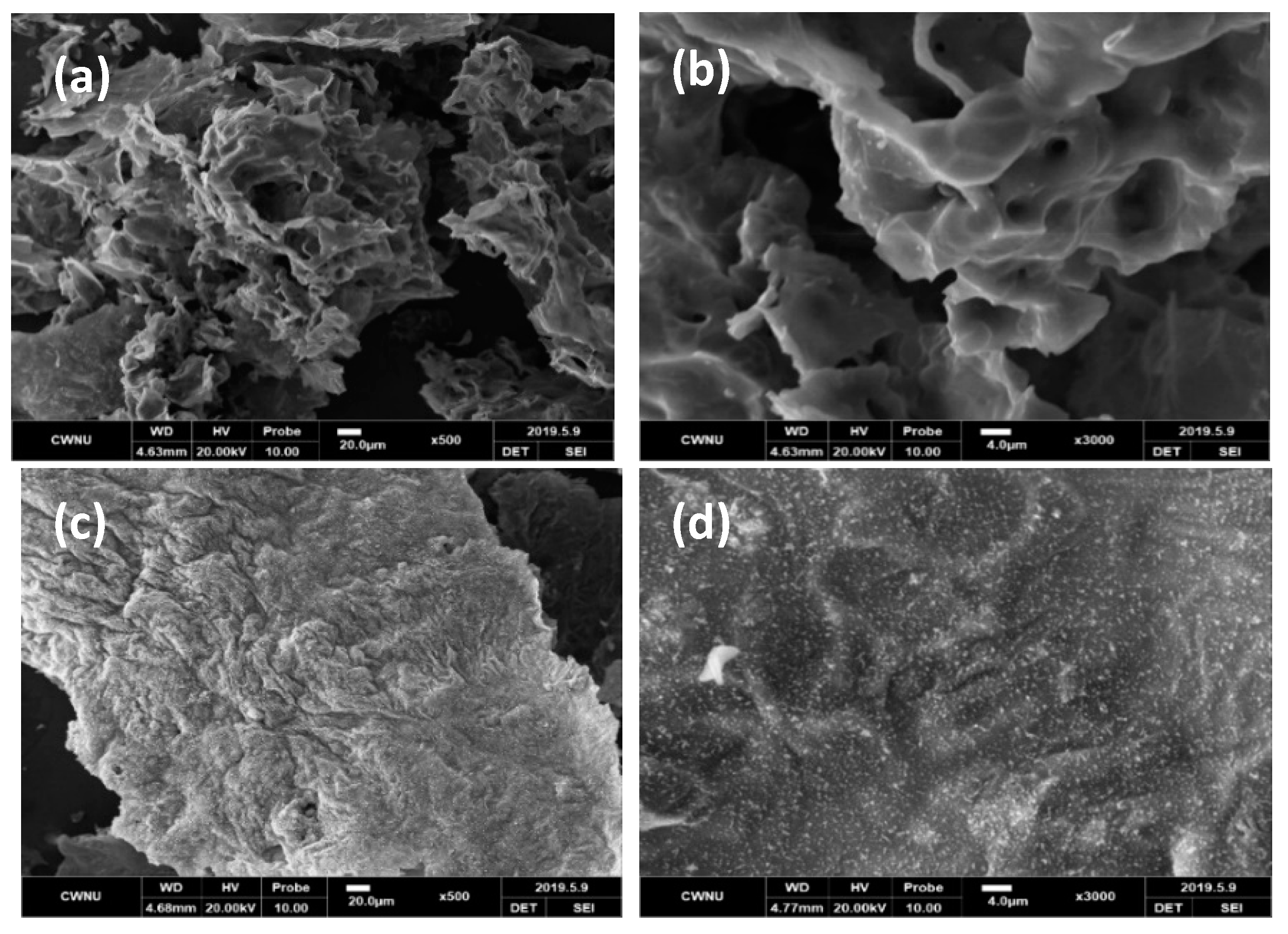 Molecules 25 05978 g006