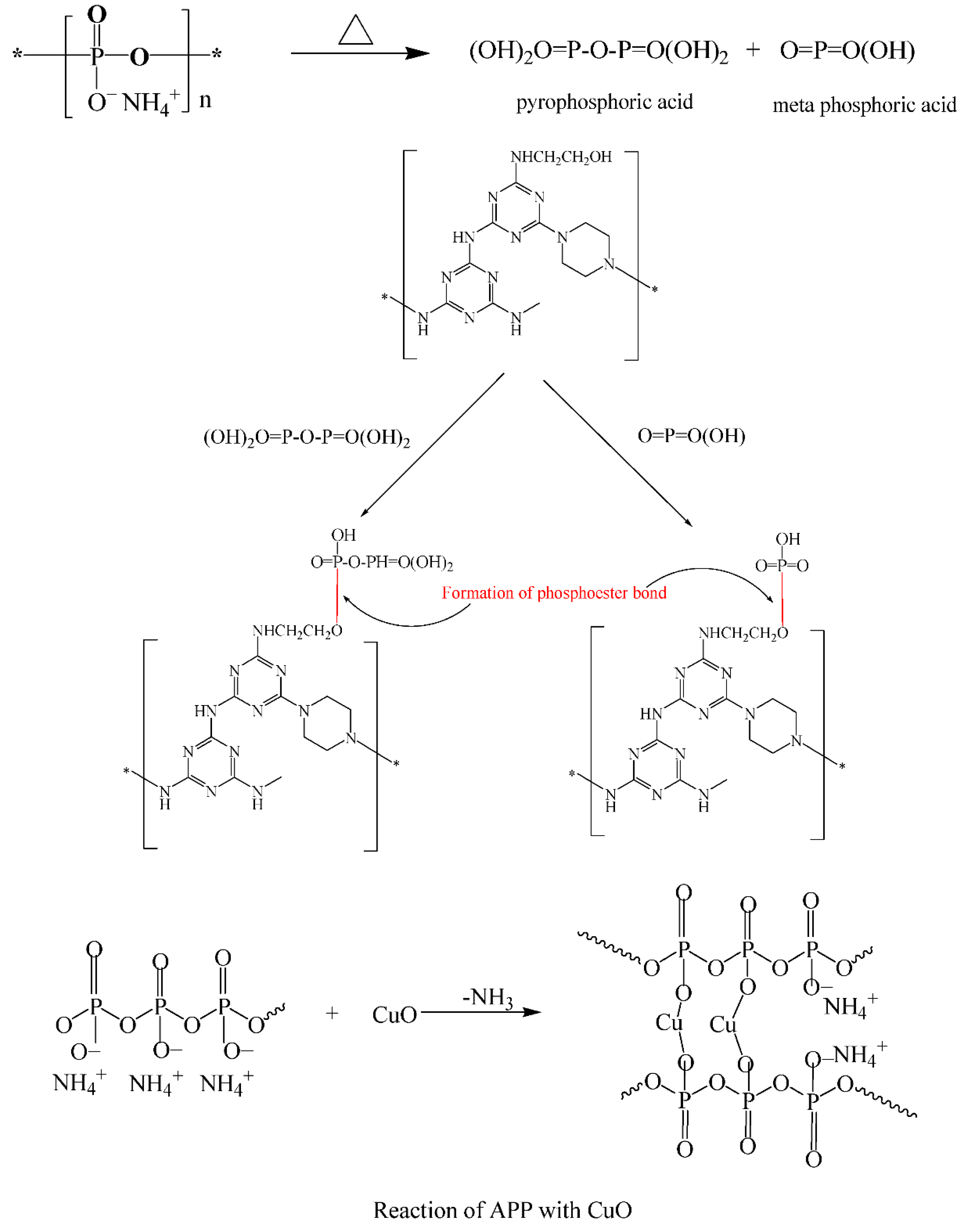 Molecules 25 05978 sch001