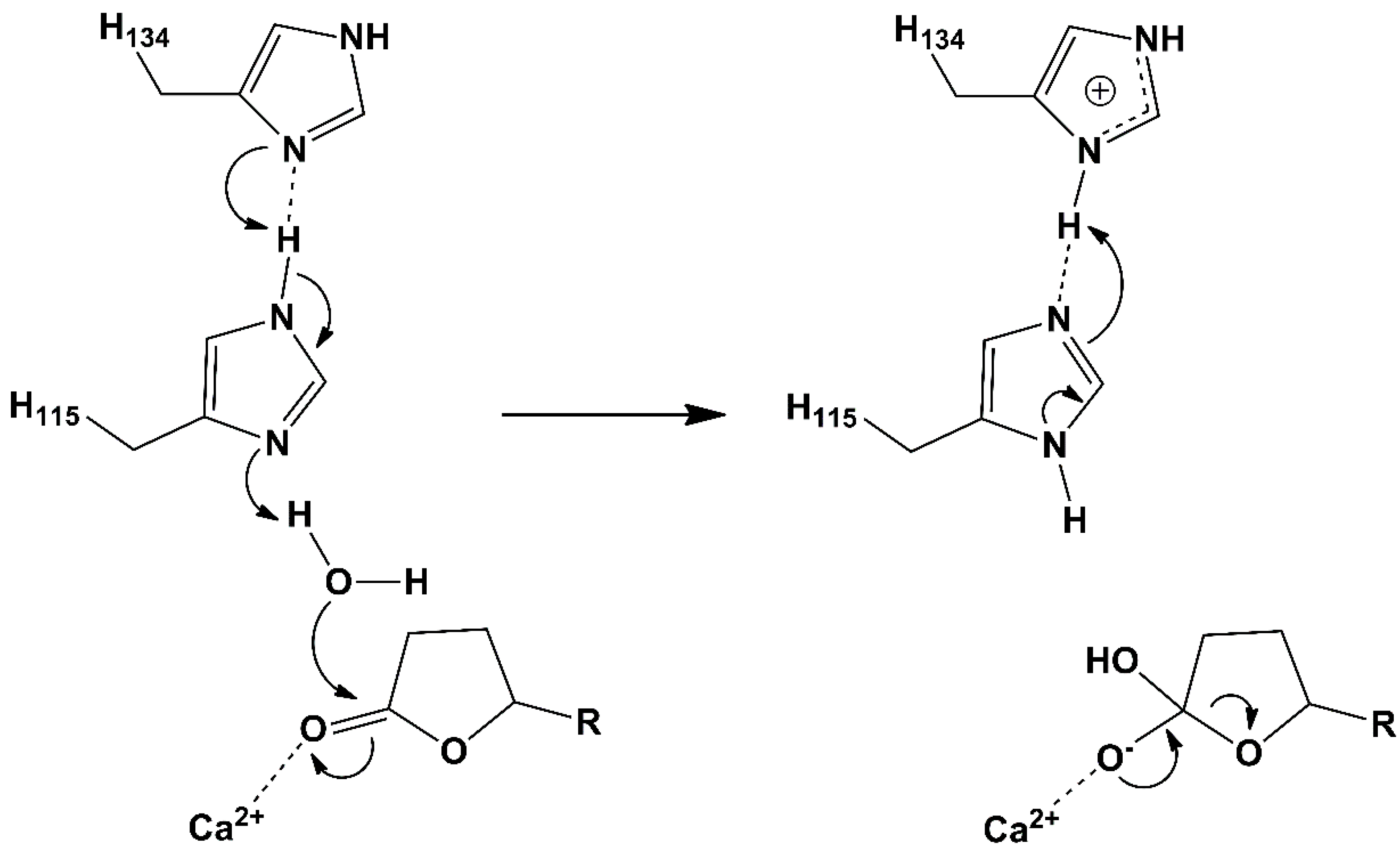 Molecules 25 05980 g002
