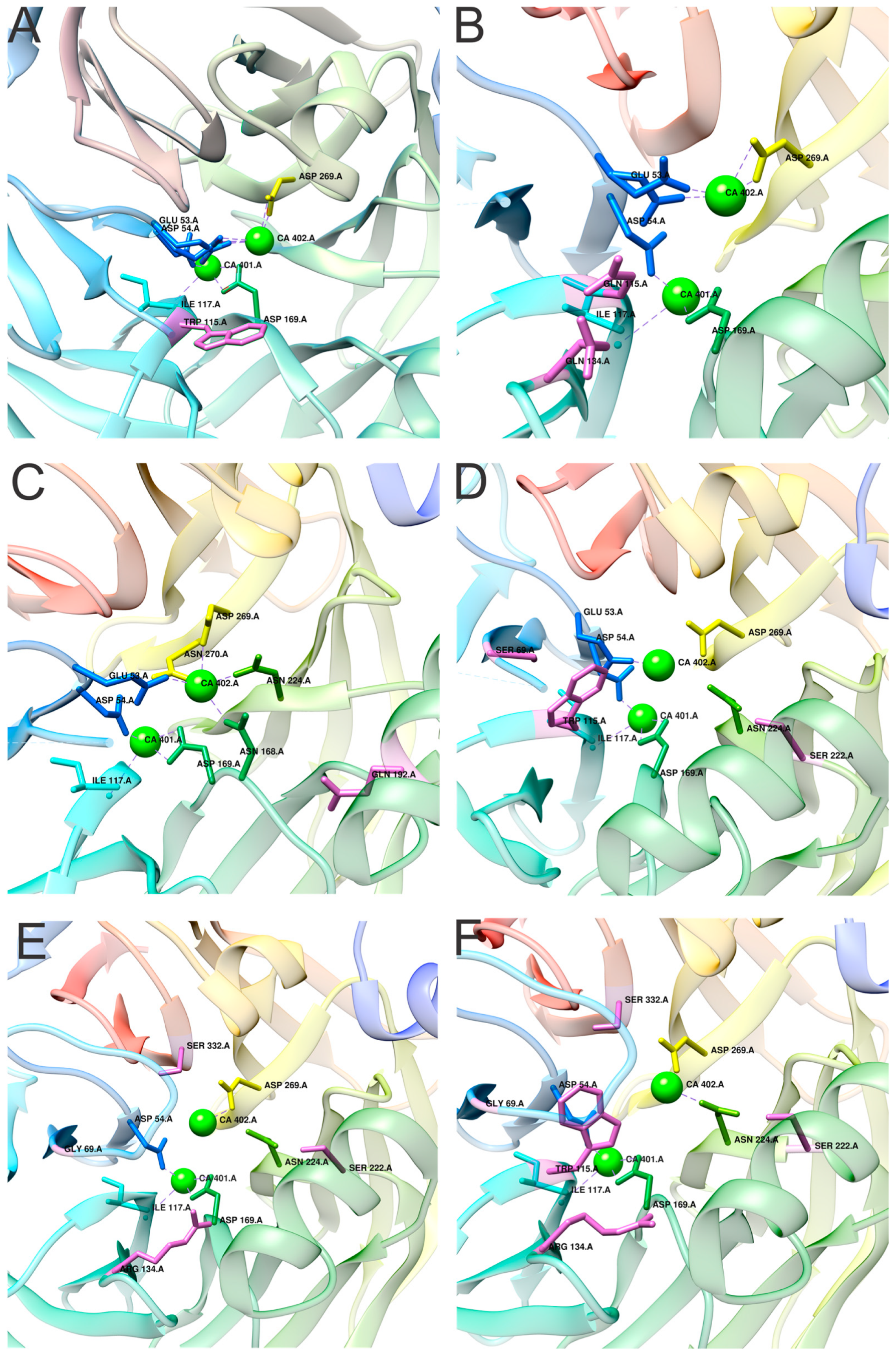 Molecules 25 05980 g005