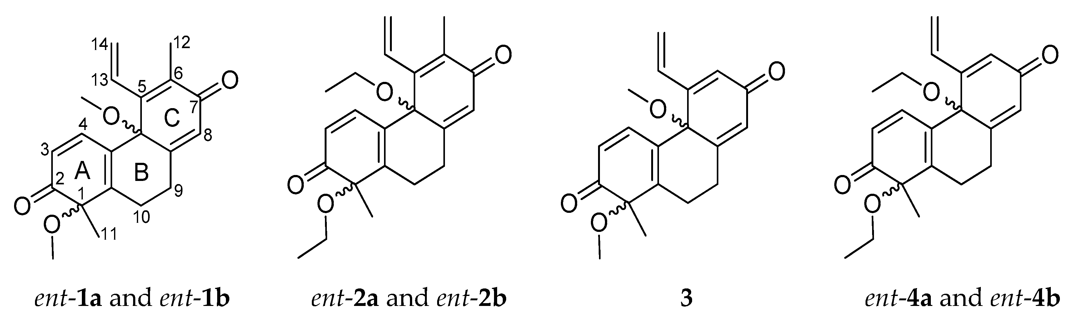 Molecules 25 05983 g001