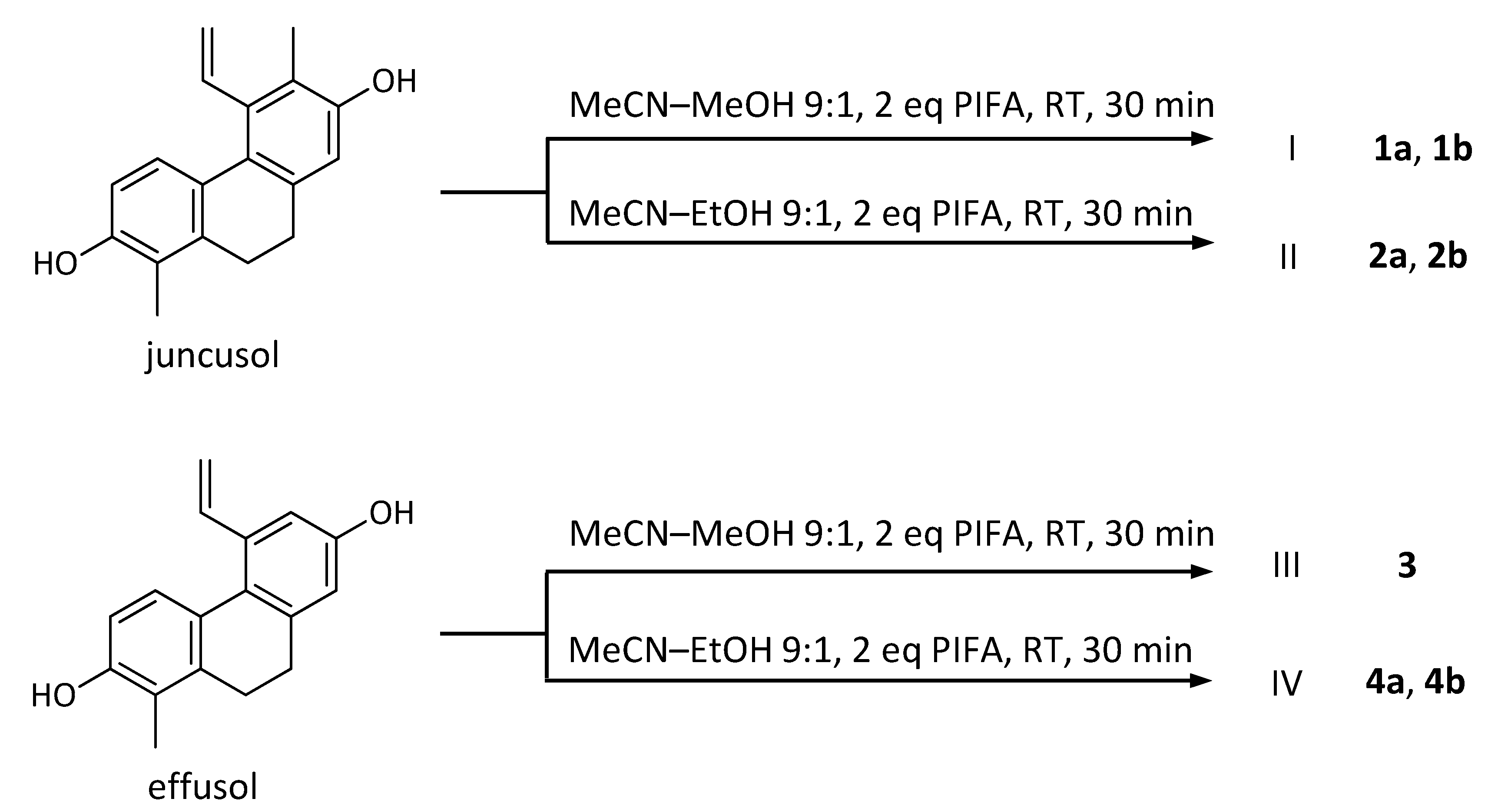 Molecules 25 05983 sch001