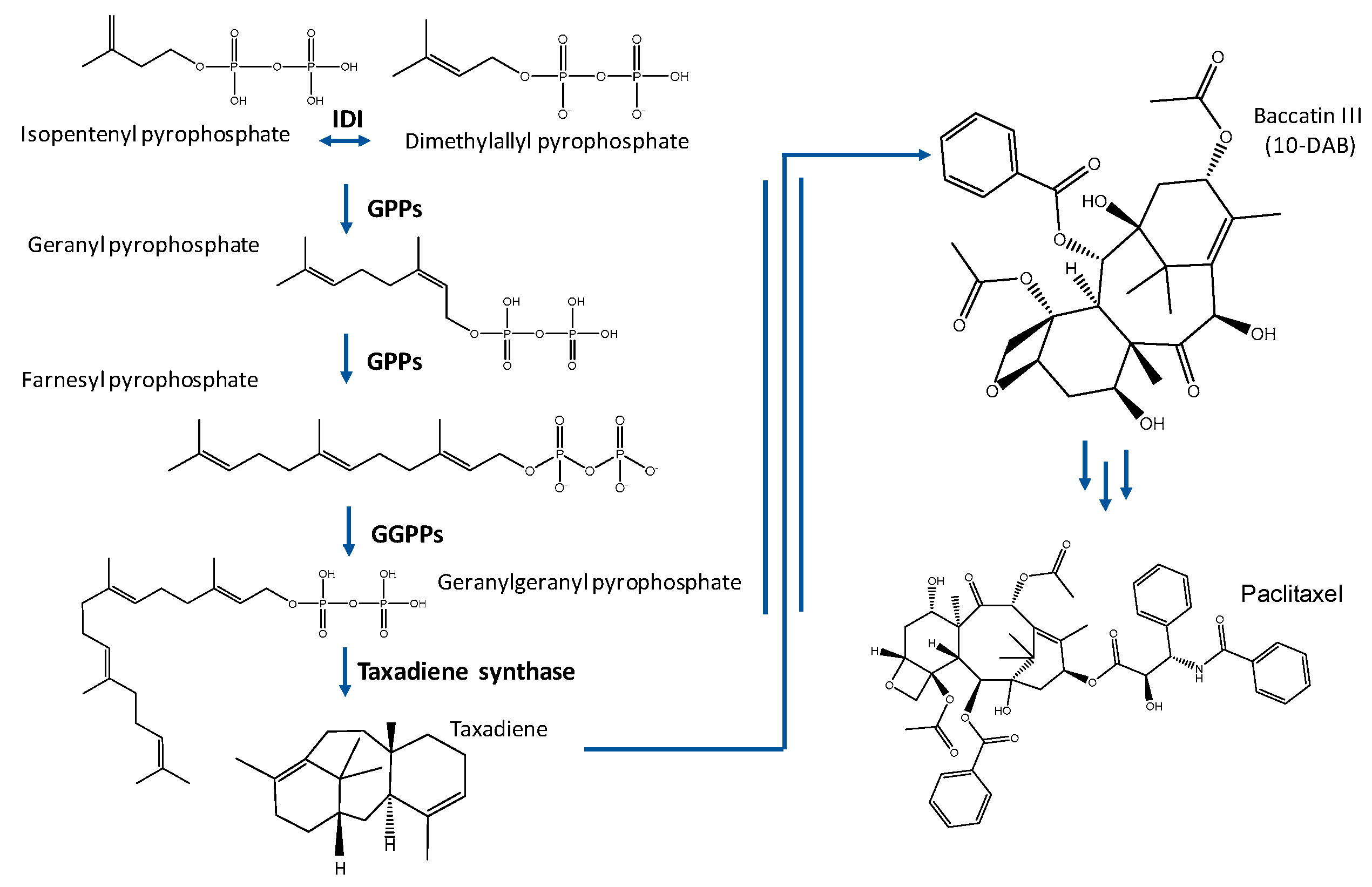 Molecules 25 05986 g001