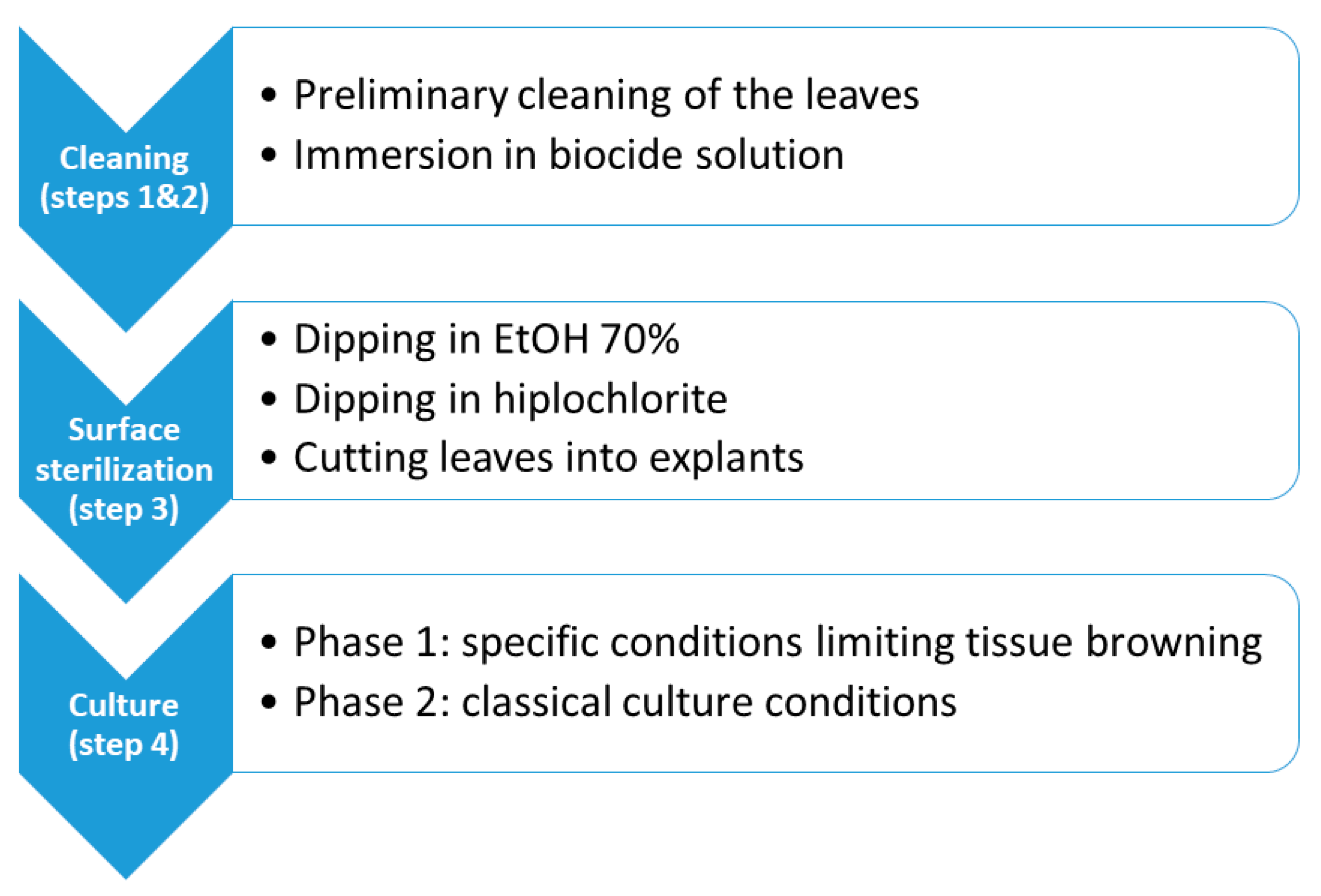 Molecules 25 05992 g001 Molecules 25 05992 g001