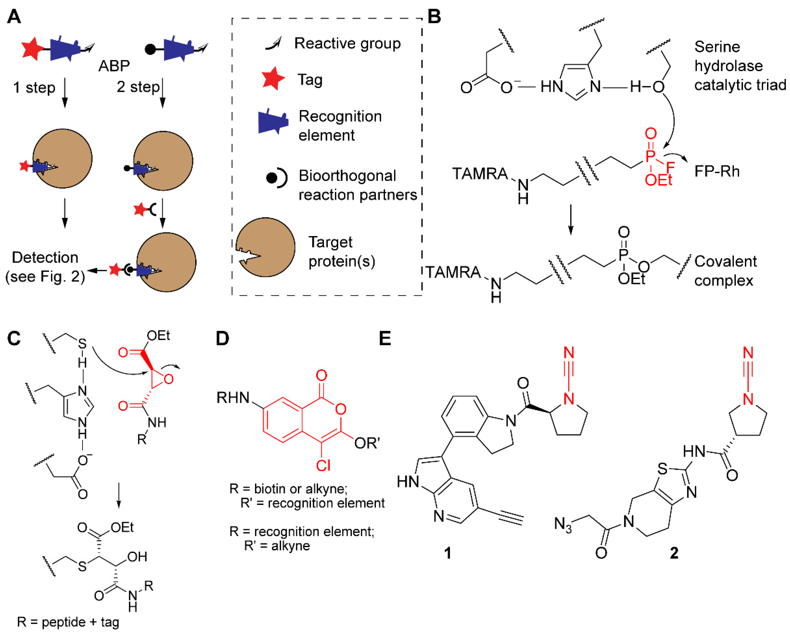 Molecules 25 05994 g001 Molecules 25 05994 g001