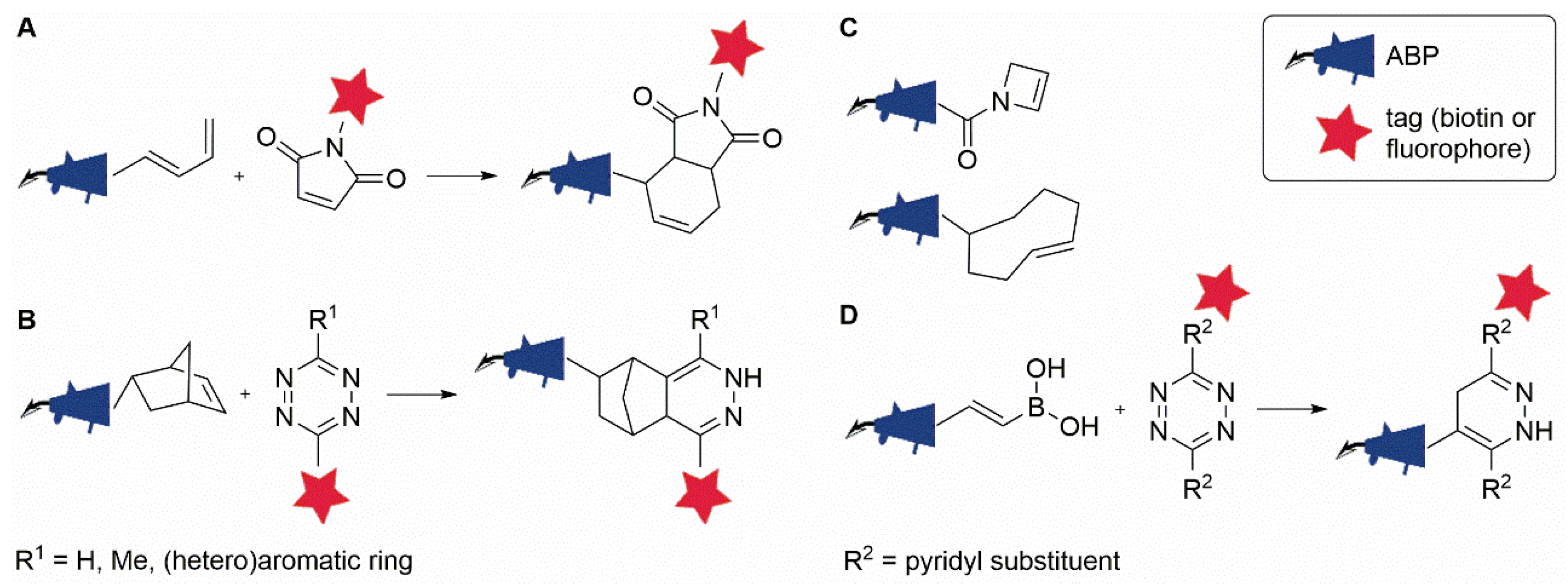 Molecules 25 05994 g004 Molecules 25 05994 g004