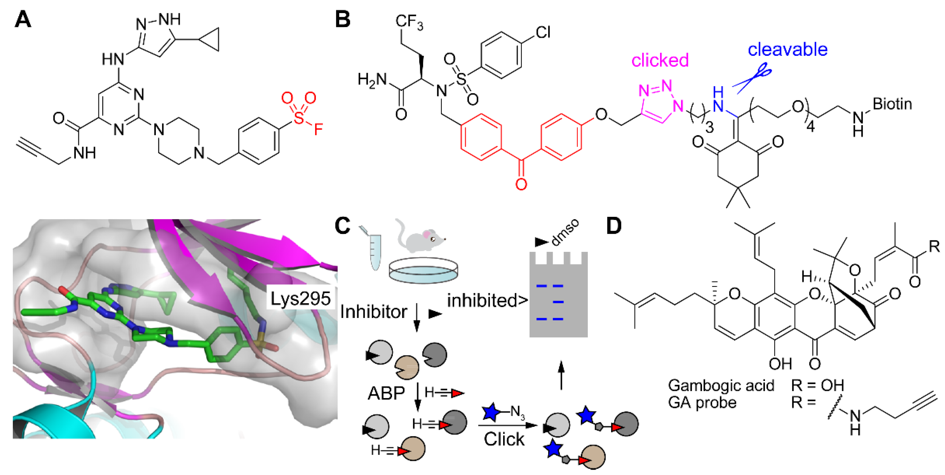 Molecules 25 05994 g008 Molecules 25 05994 g008