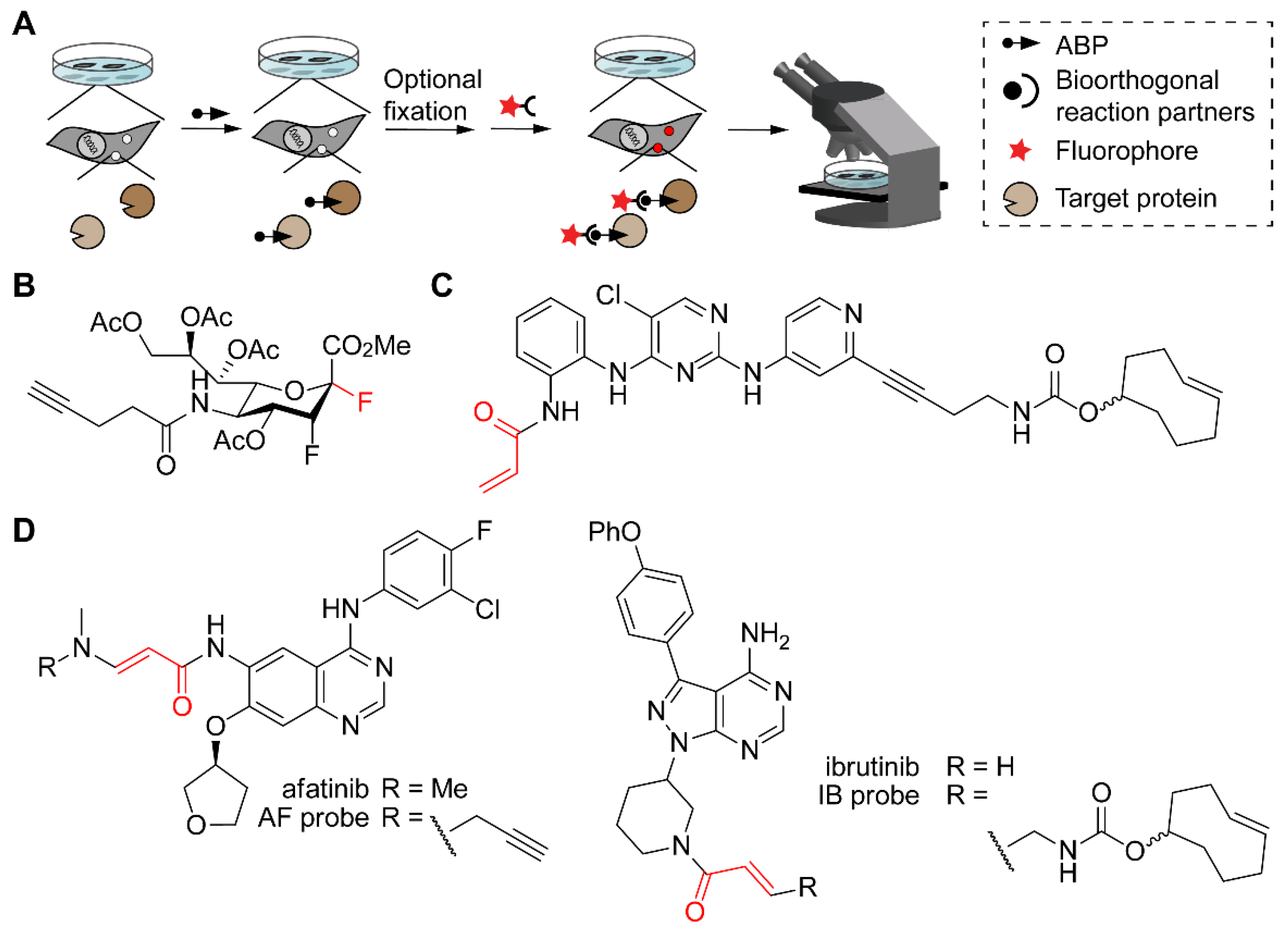 Molecules 25 05994 g009 Molecules 25 05994 g009