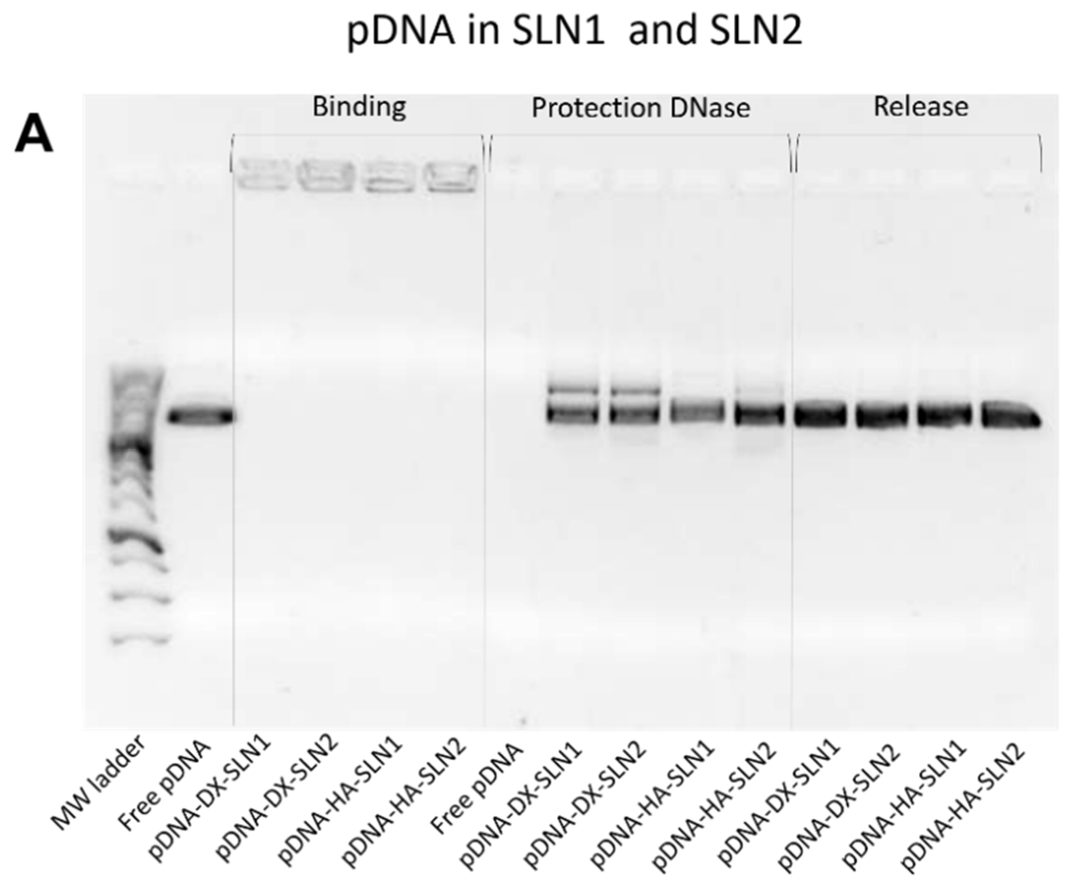 Molecules 25 05995 g002a