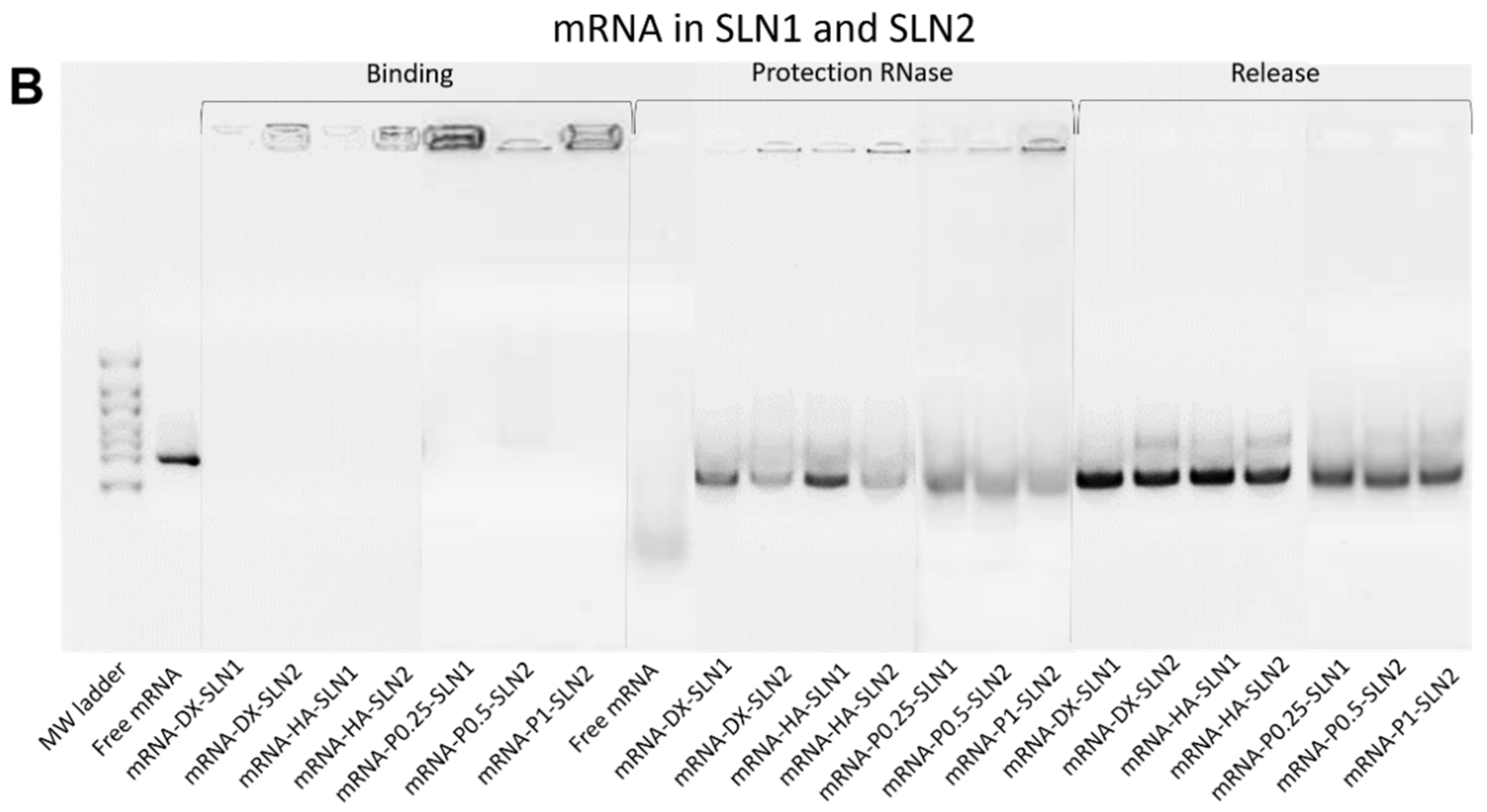 Molecules 25 05995 g002b