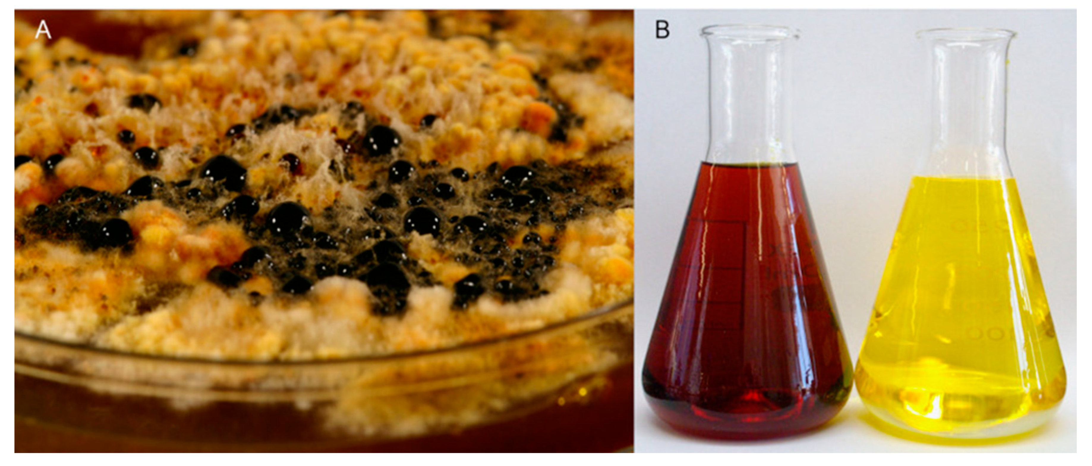 Molecules 25 05997 g002