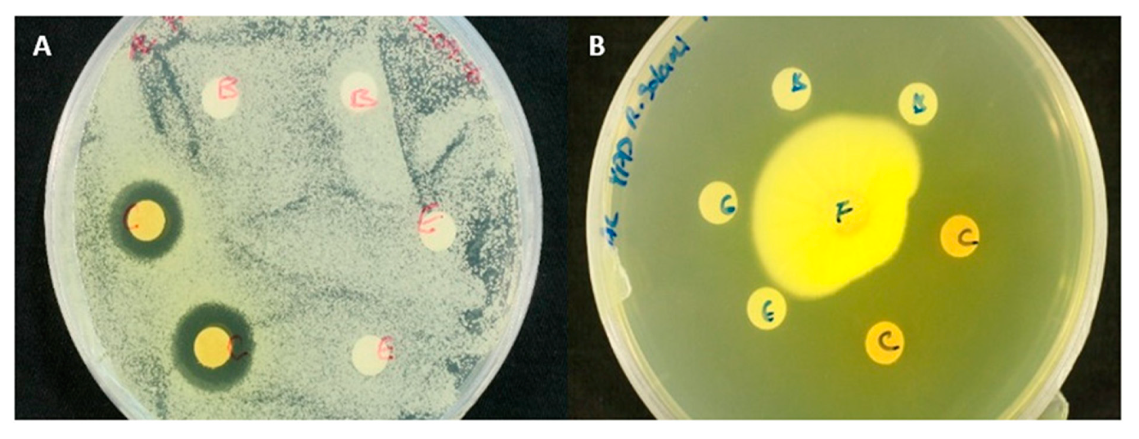 Molecules 25 05997 g003