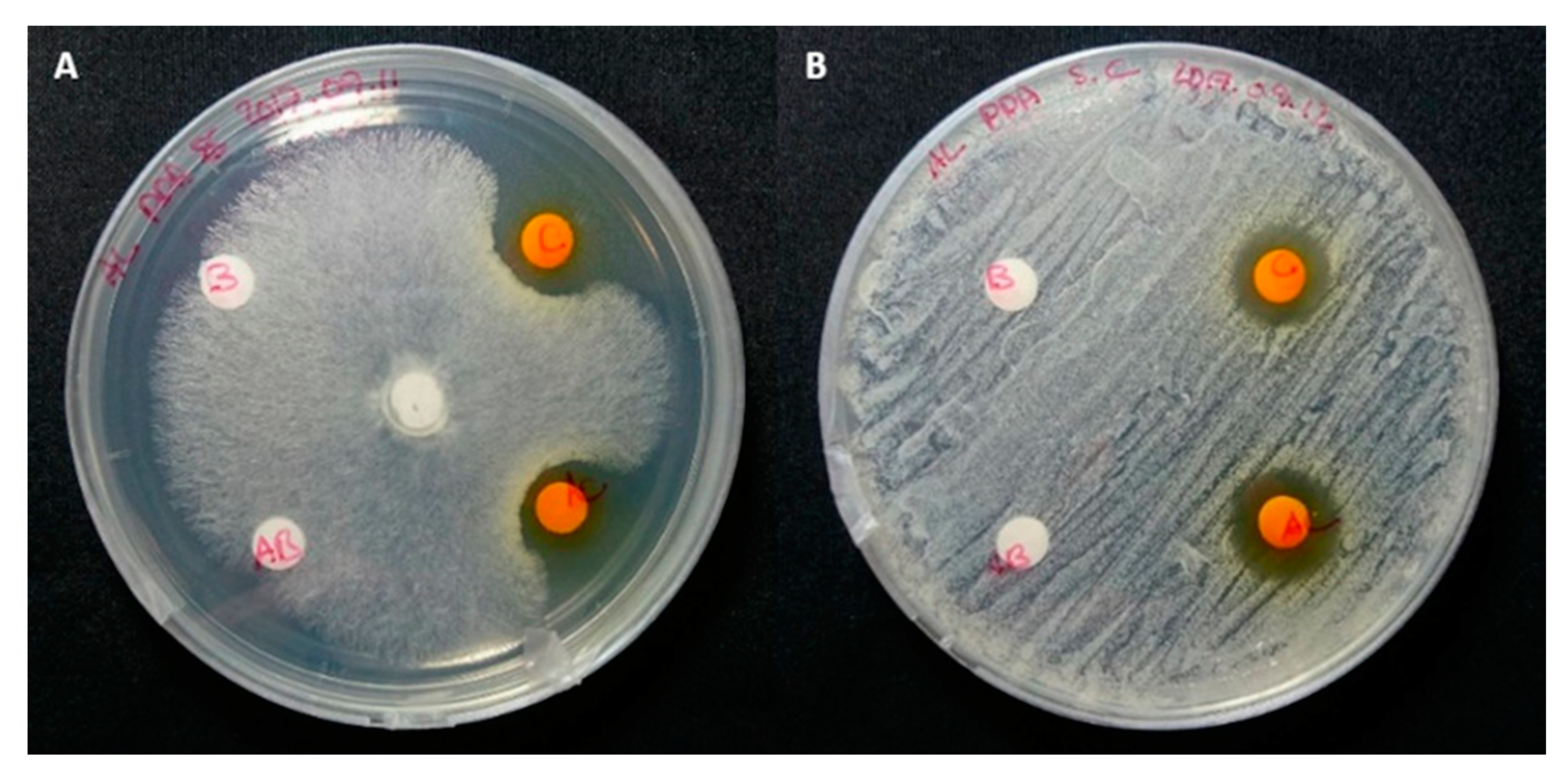 Molecules 25 05997 g005