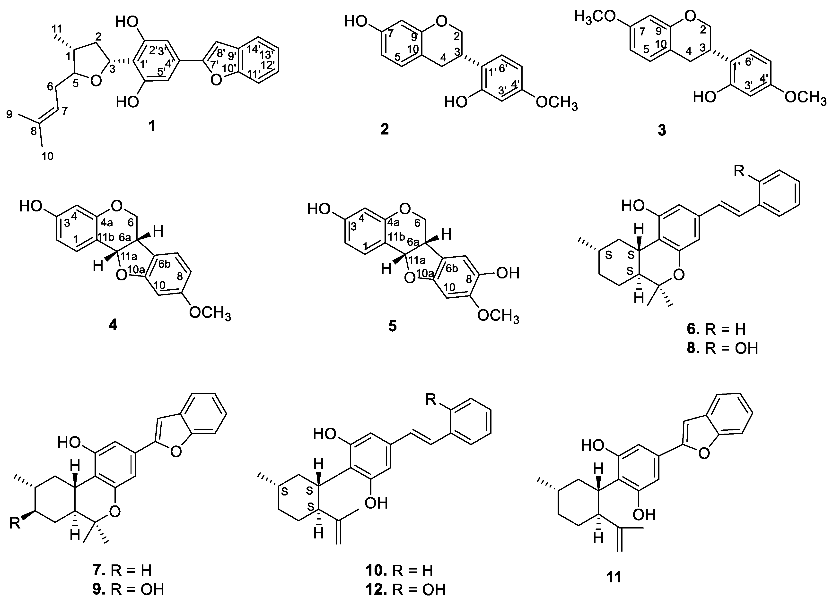 Molecules 25 06000 g001 Molecules 25 06000 g001