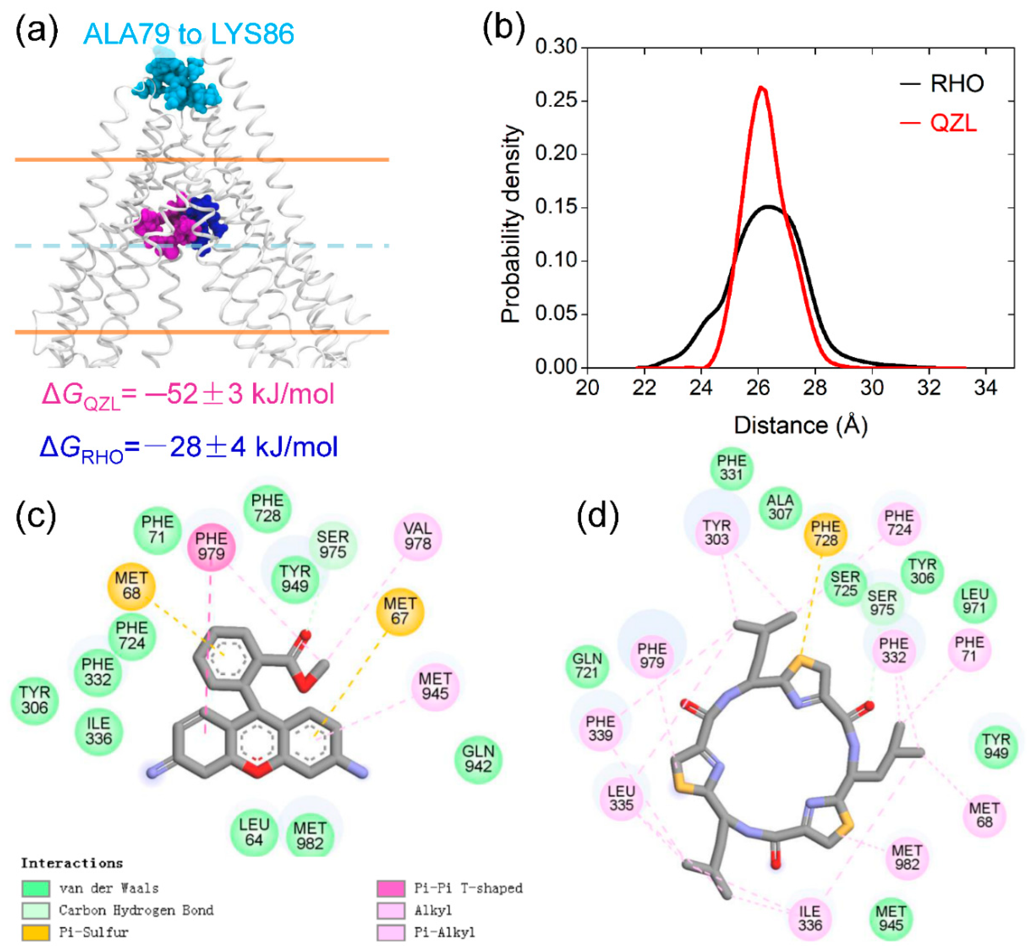 Molecules 25 06006 g005