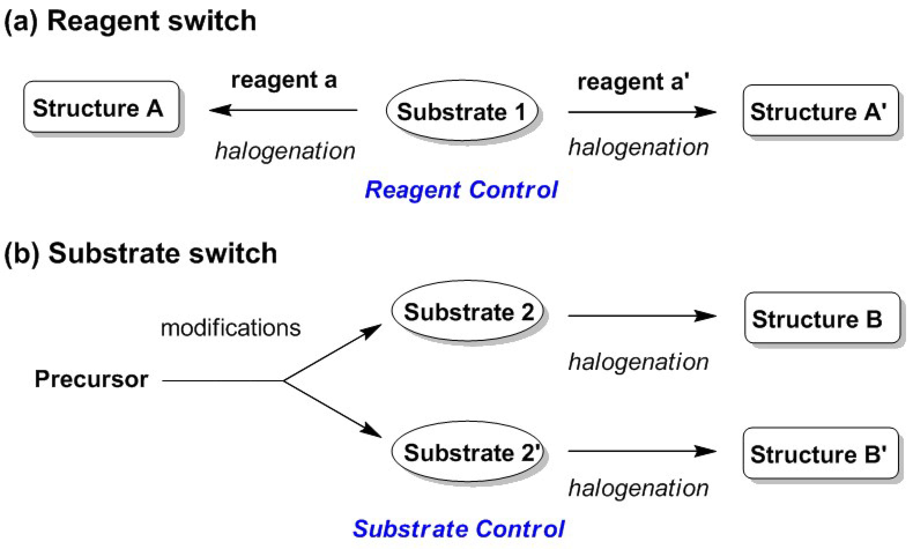 Molecules 25 06007 g001 Molecules 25 06007 g001
