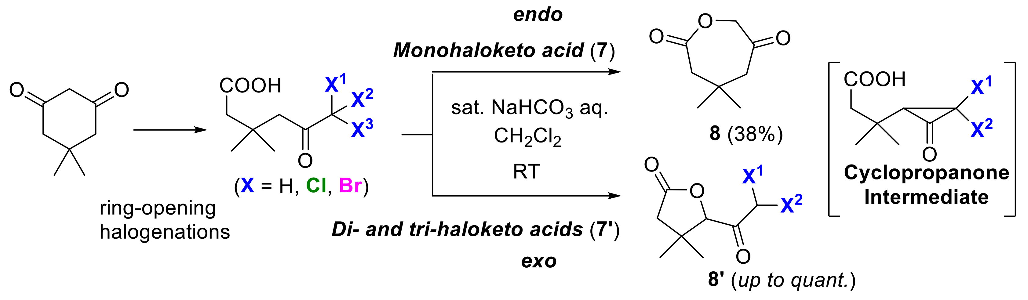 Molecules 25 06007 g005 Molecules 25 06007 g005